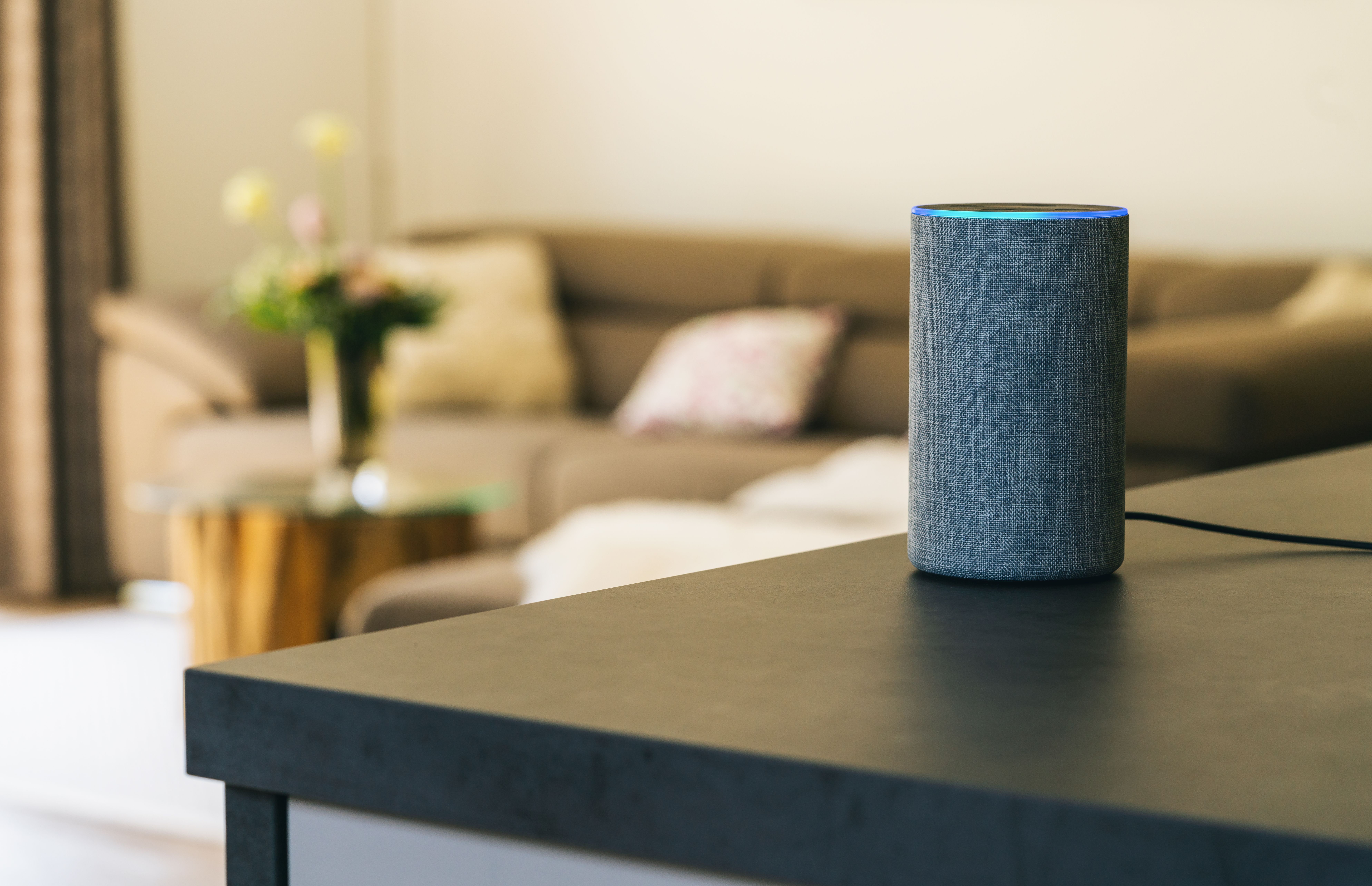 Personal assistant playing music