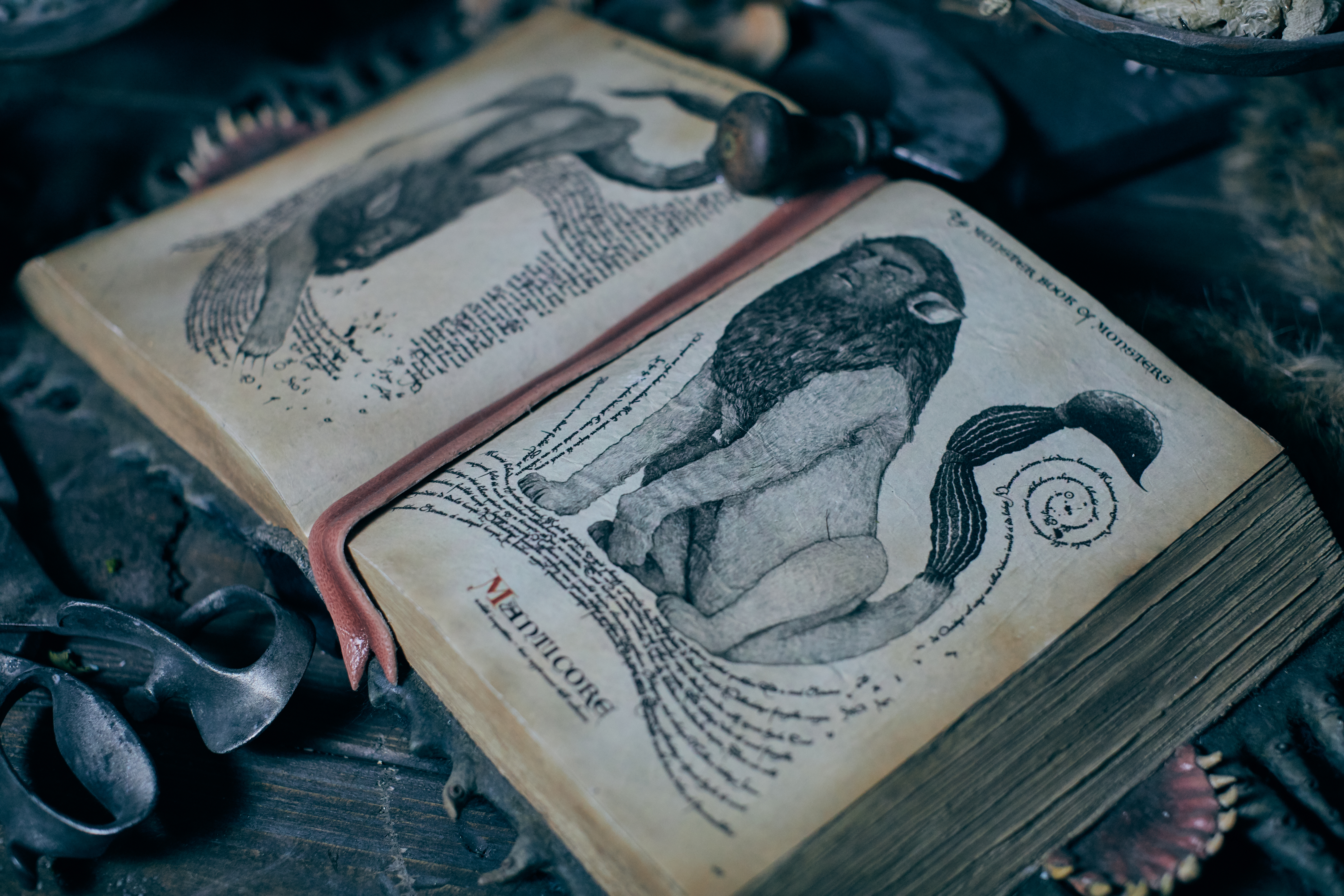 Hagrid’s Magical Creatures Motorbike Adventure manticore book