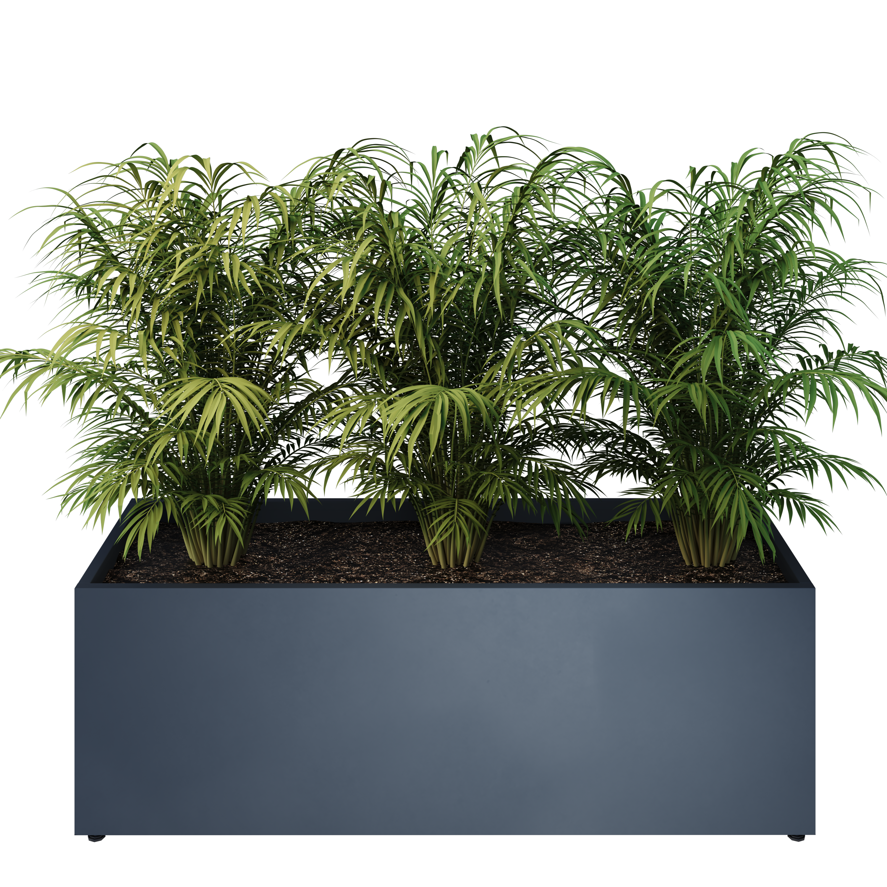 pravougaone 50 model view