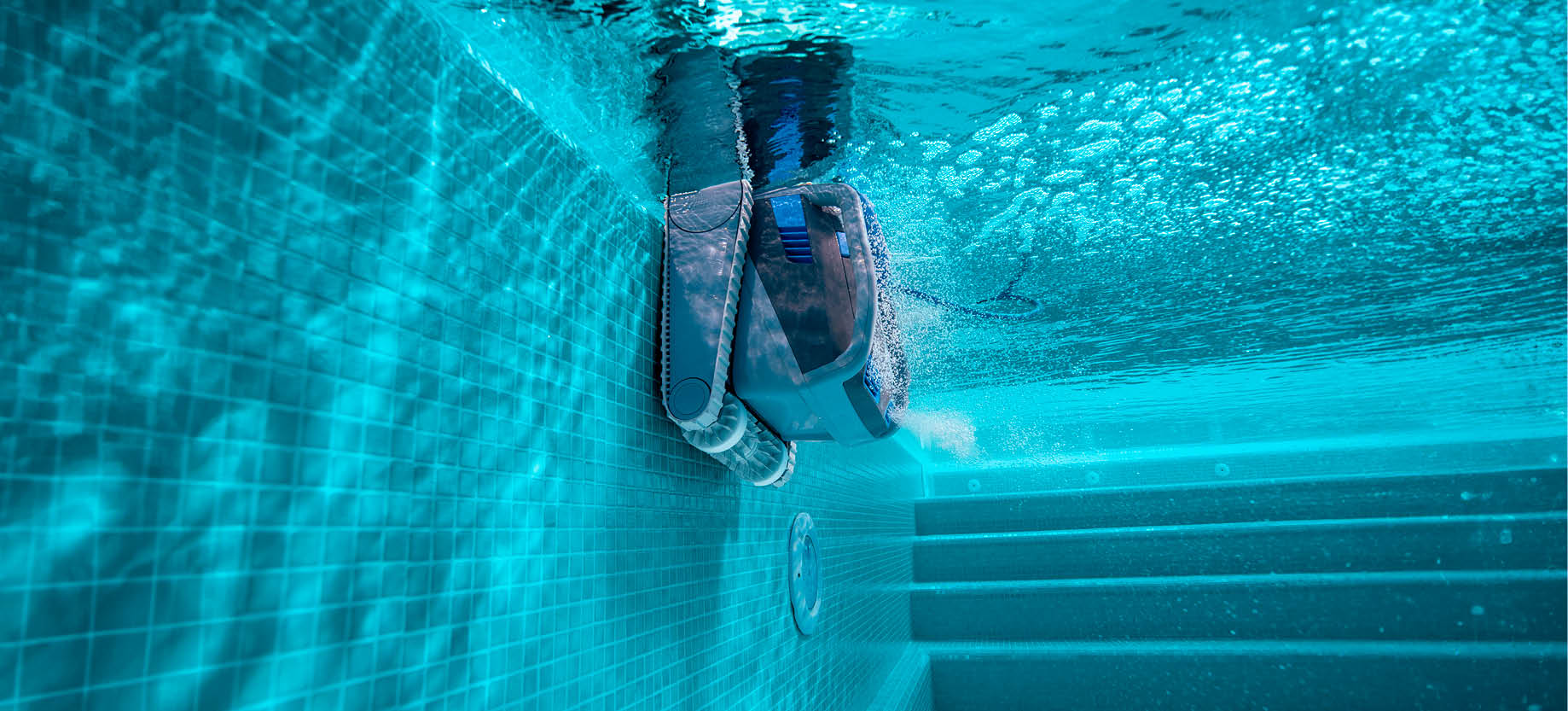 Use Dolphin to prevent the build up of algae