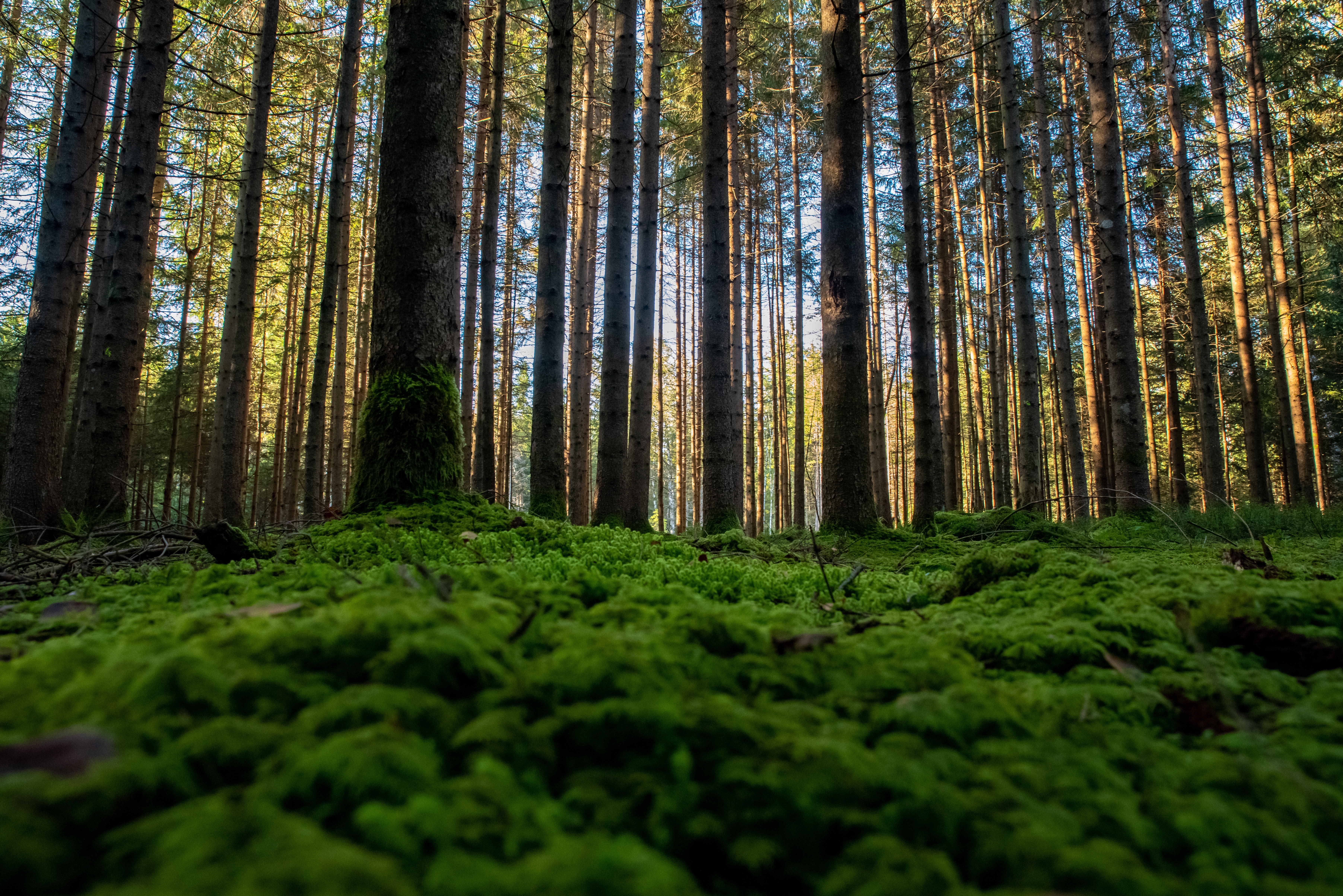 Corporate Responsibility / ESG
