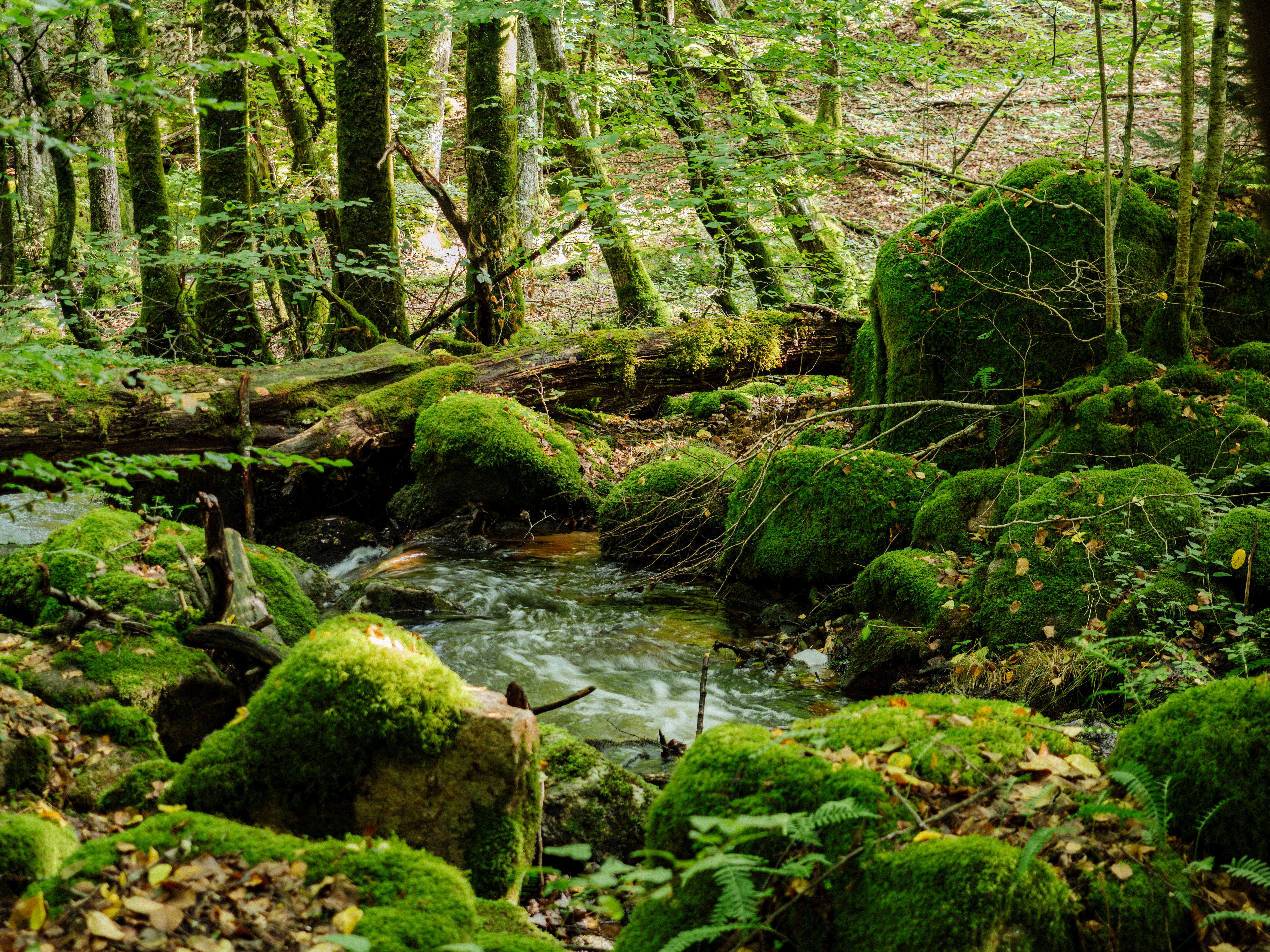 Fiche produit Morvan 24