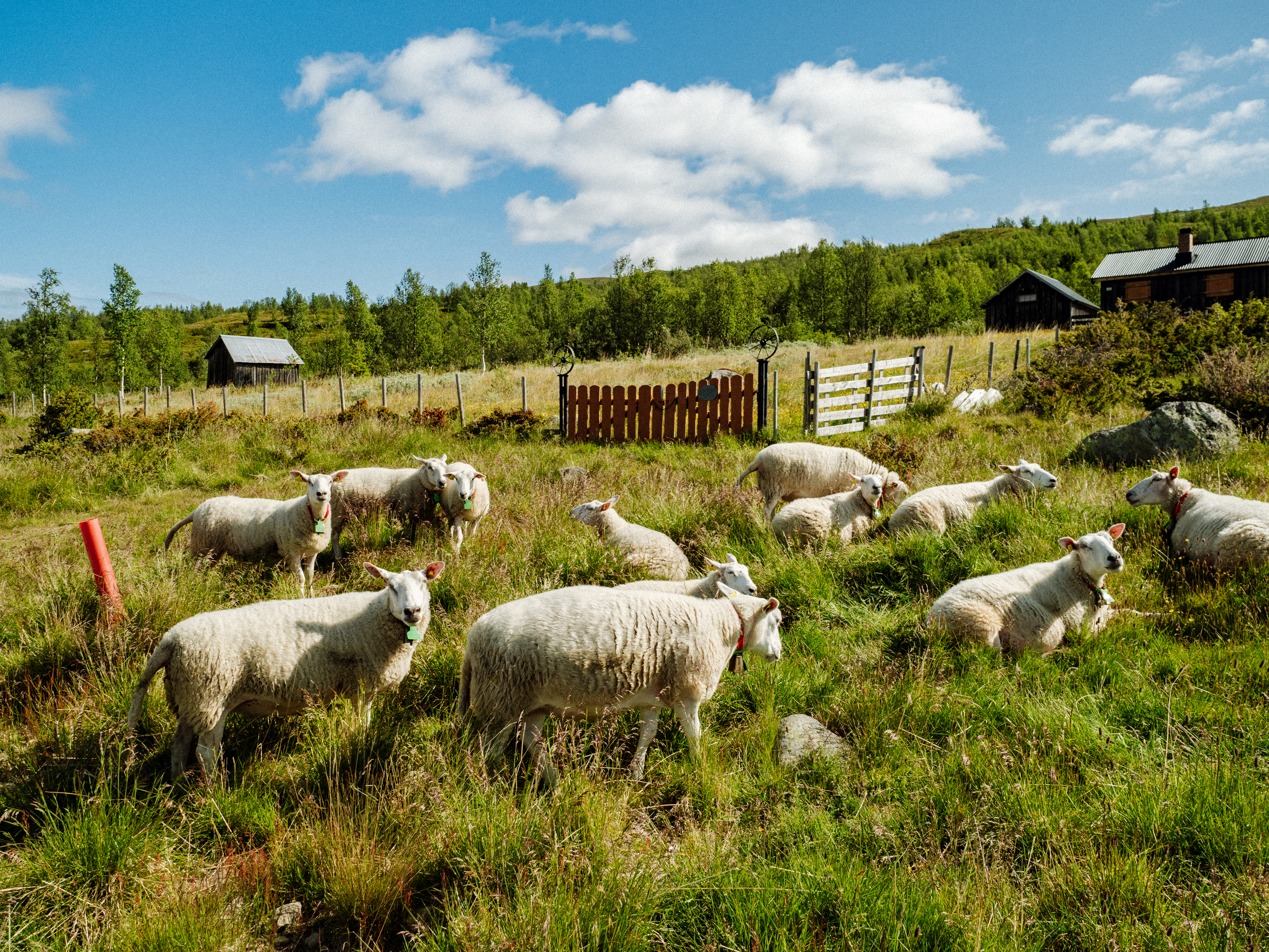 Norvège_Explorer_GRVL_7