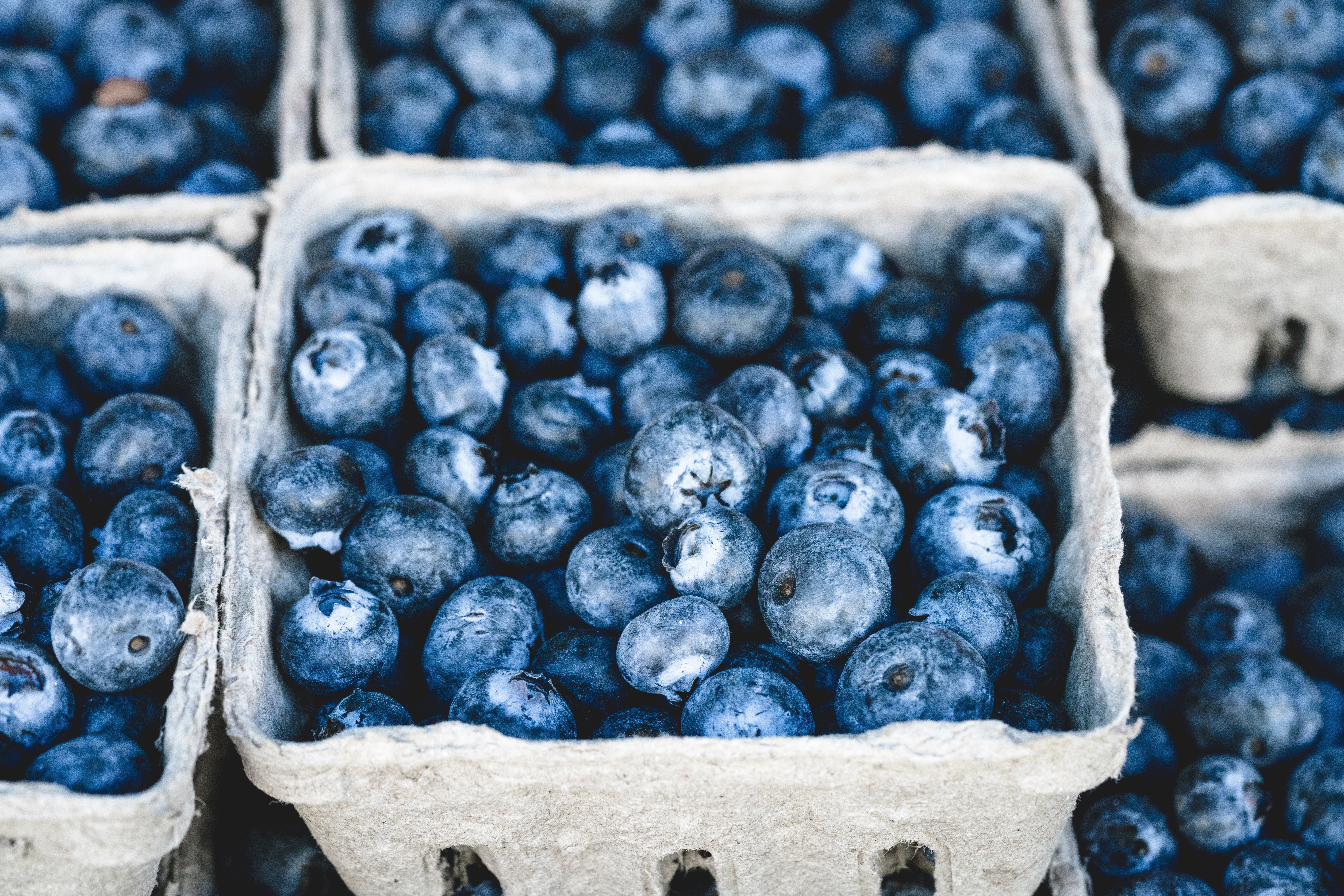 blueberries in cardboard containers
