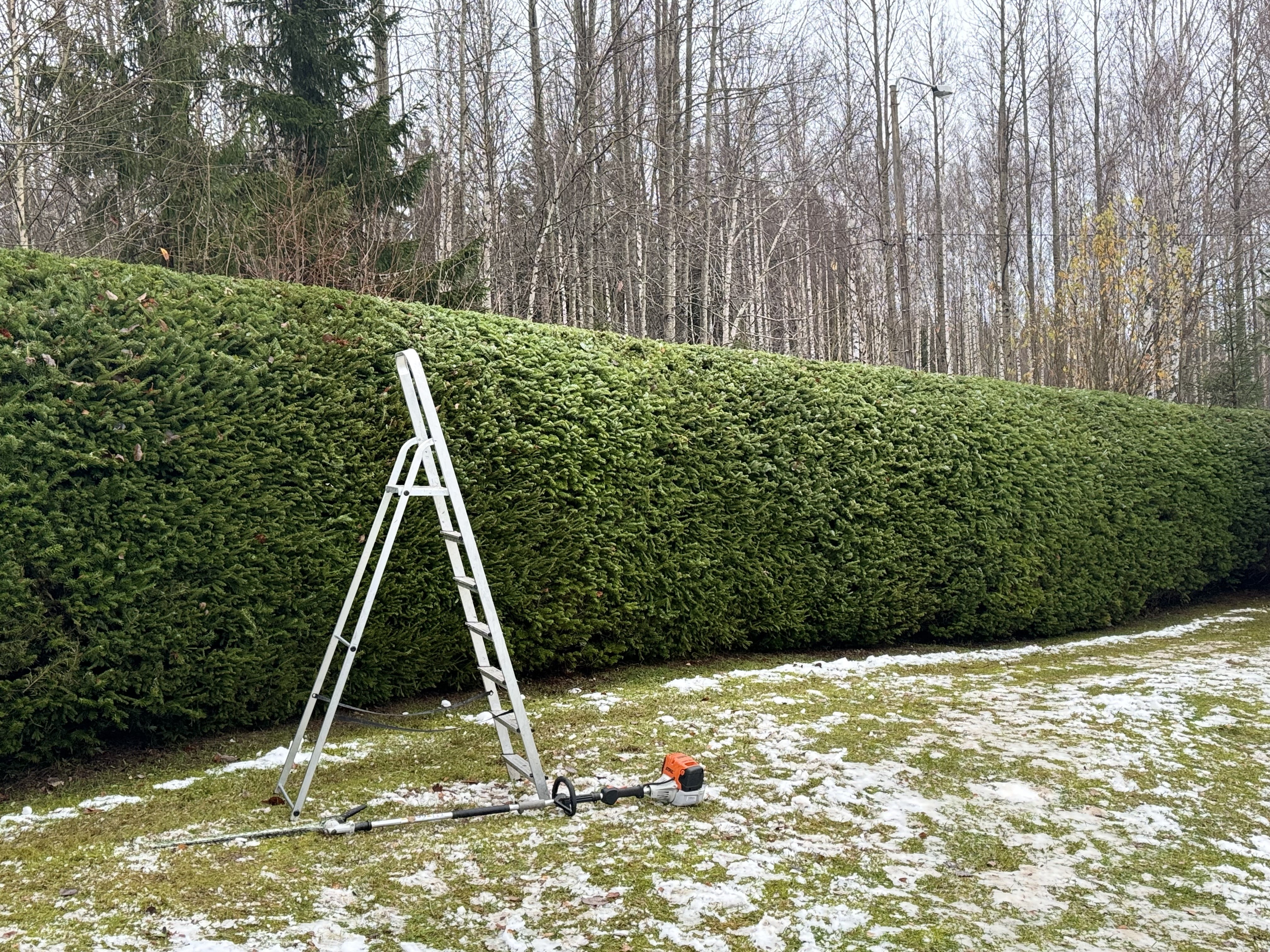 Etsitkö ammattitaitoista yritystä istuttamaan kuusiaitasi Oulusta? Oulun paikalliset palveluntarjoajat varmistavat, että kuusiaitasi asennetaan oikein.