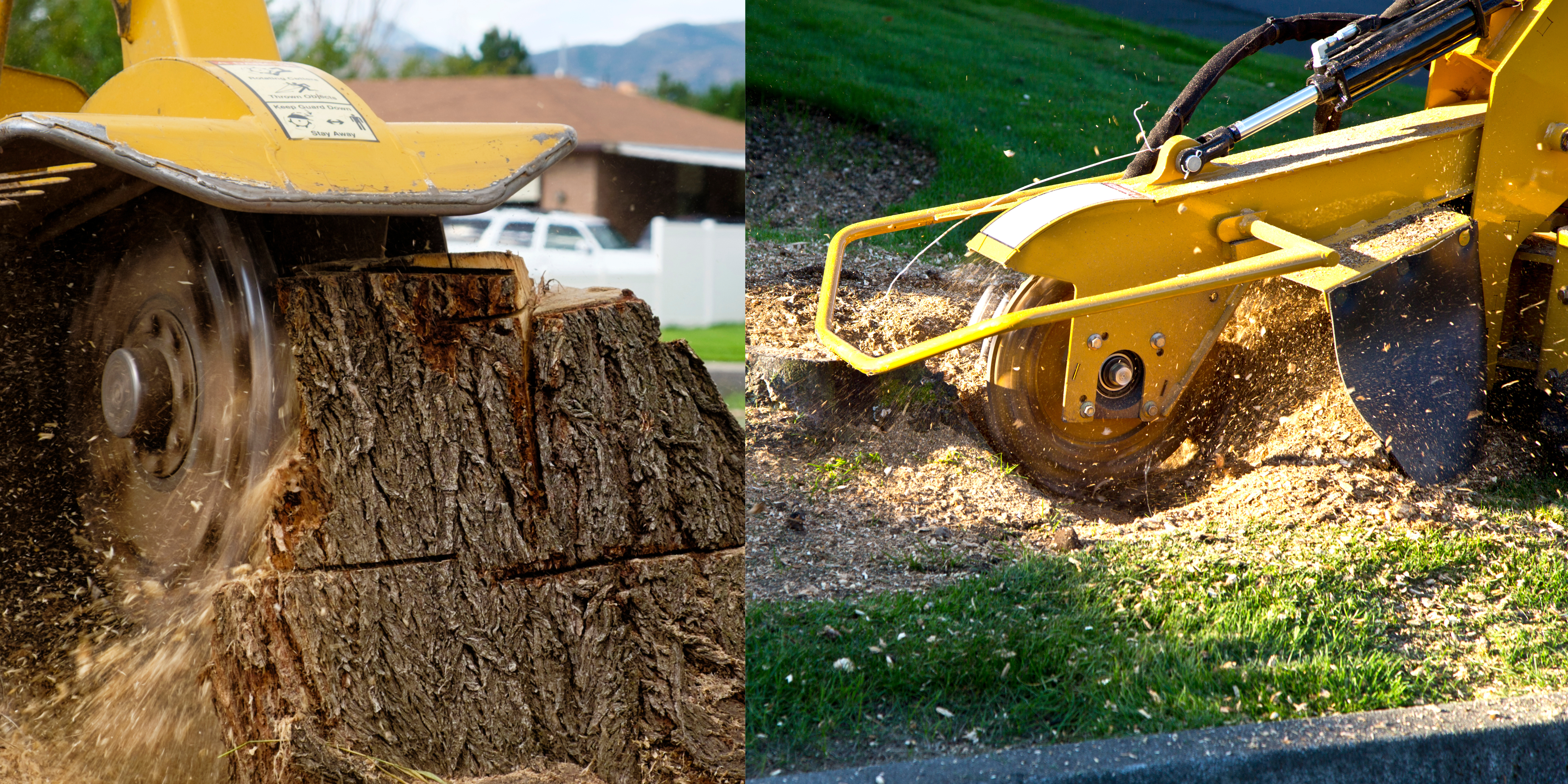 Etsitkö ammattitaitoista yritystä tekemään kantojyrsinnän Turussa? Turun paikalliset palveluntarjoajat tekevät kantojyrsinnän tehokkaasti ja turvallisesti.