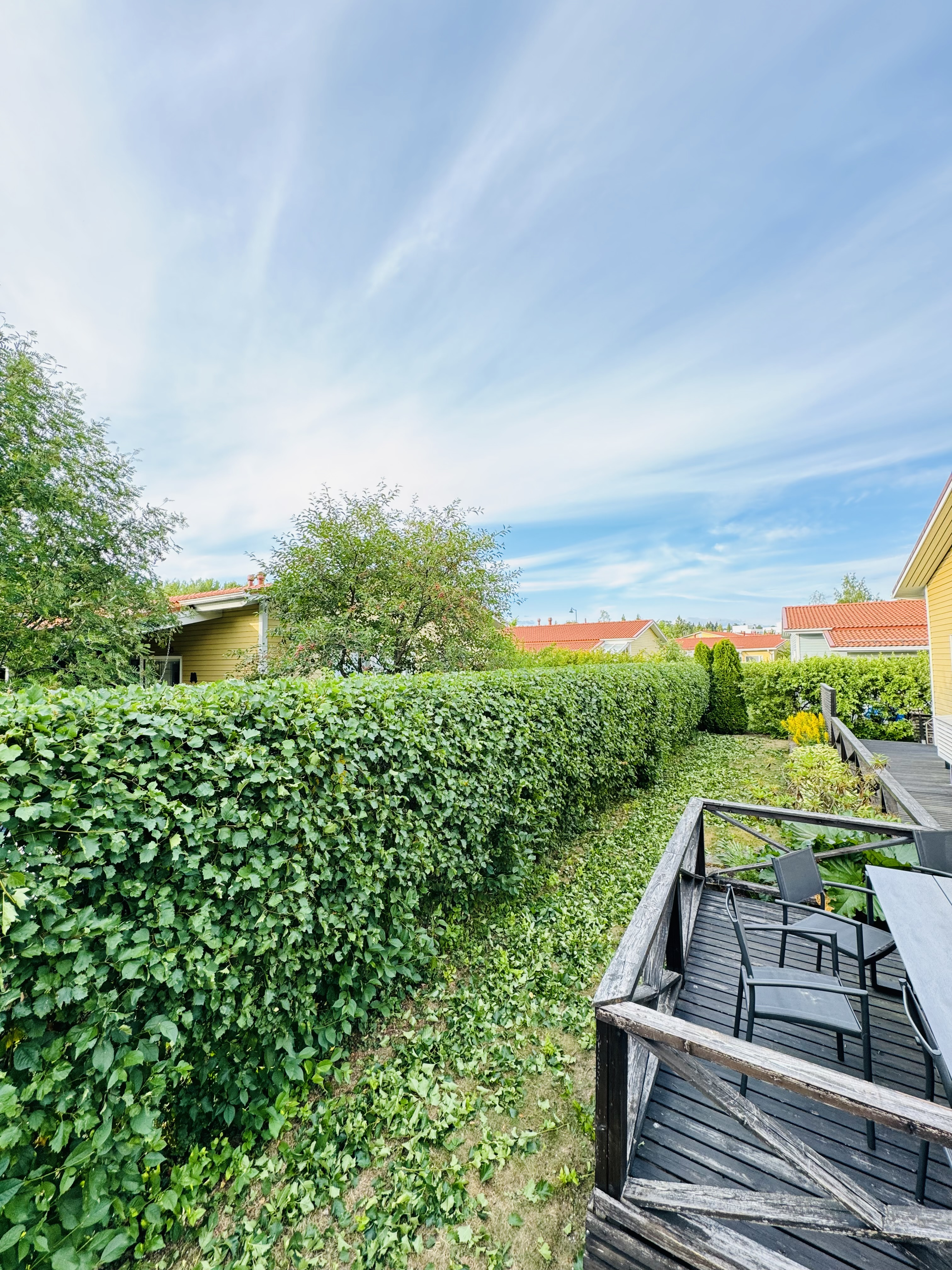 Etsitkö ammattitaitoista orapihlaja-aidan leikkausta Turusta? Orapihlaja-aidan leikkaukseen Turun paikalliset palveluntarjoajat varmistavat, että orapihlaja-aitasi pysyy siistinä ja elinvoimaisena jokaisena vuodenaikana.