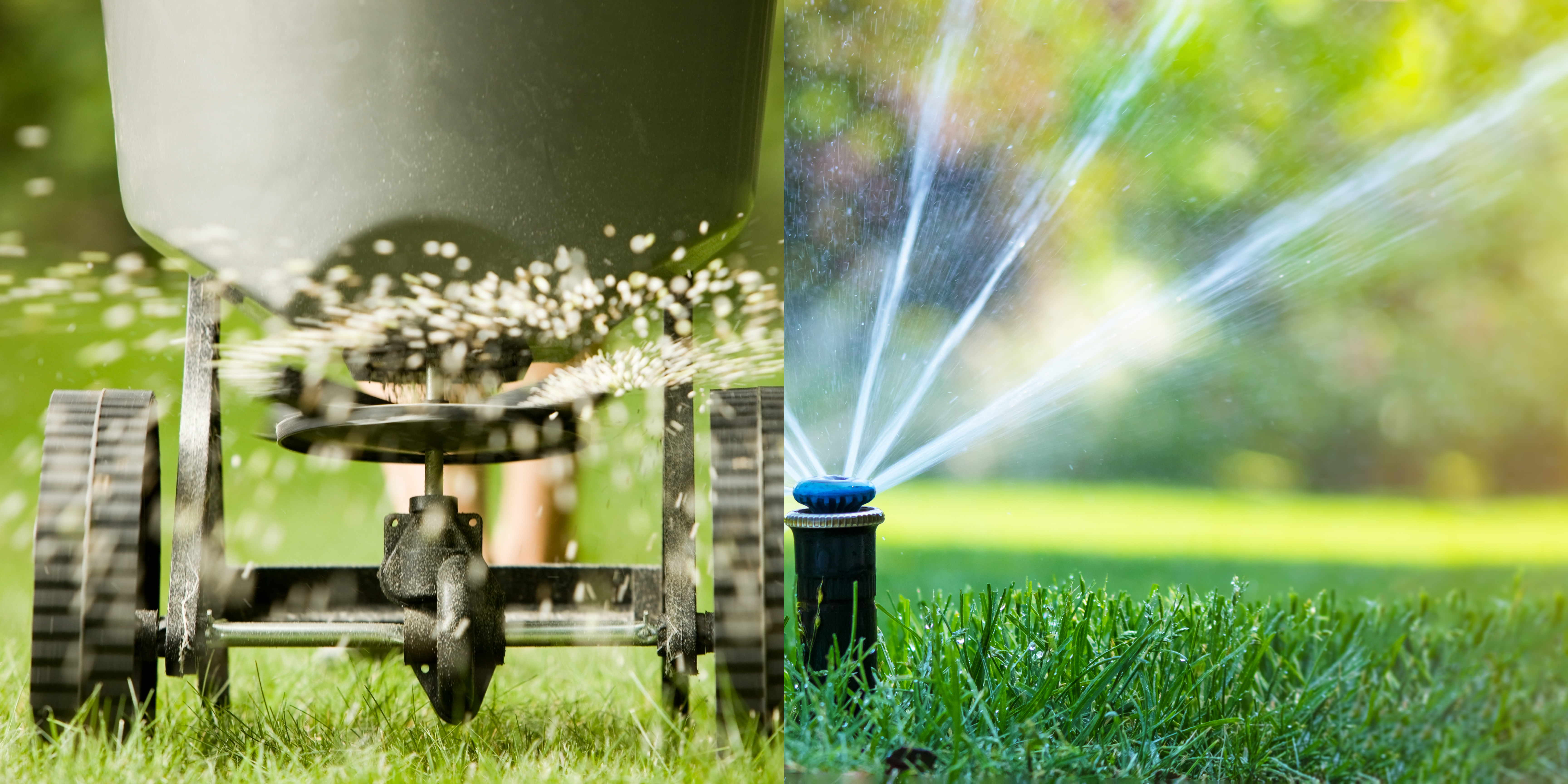 Etsitkö ammattitaitoista nurmikon lannoituspalvelua Helsingistä? Helsingin paikalliset palveluntarjoajat varmistavat, että nurmikkosi pysyy siistinä ja elinvoimaisena läpi kesäkauden.