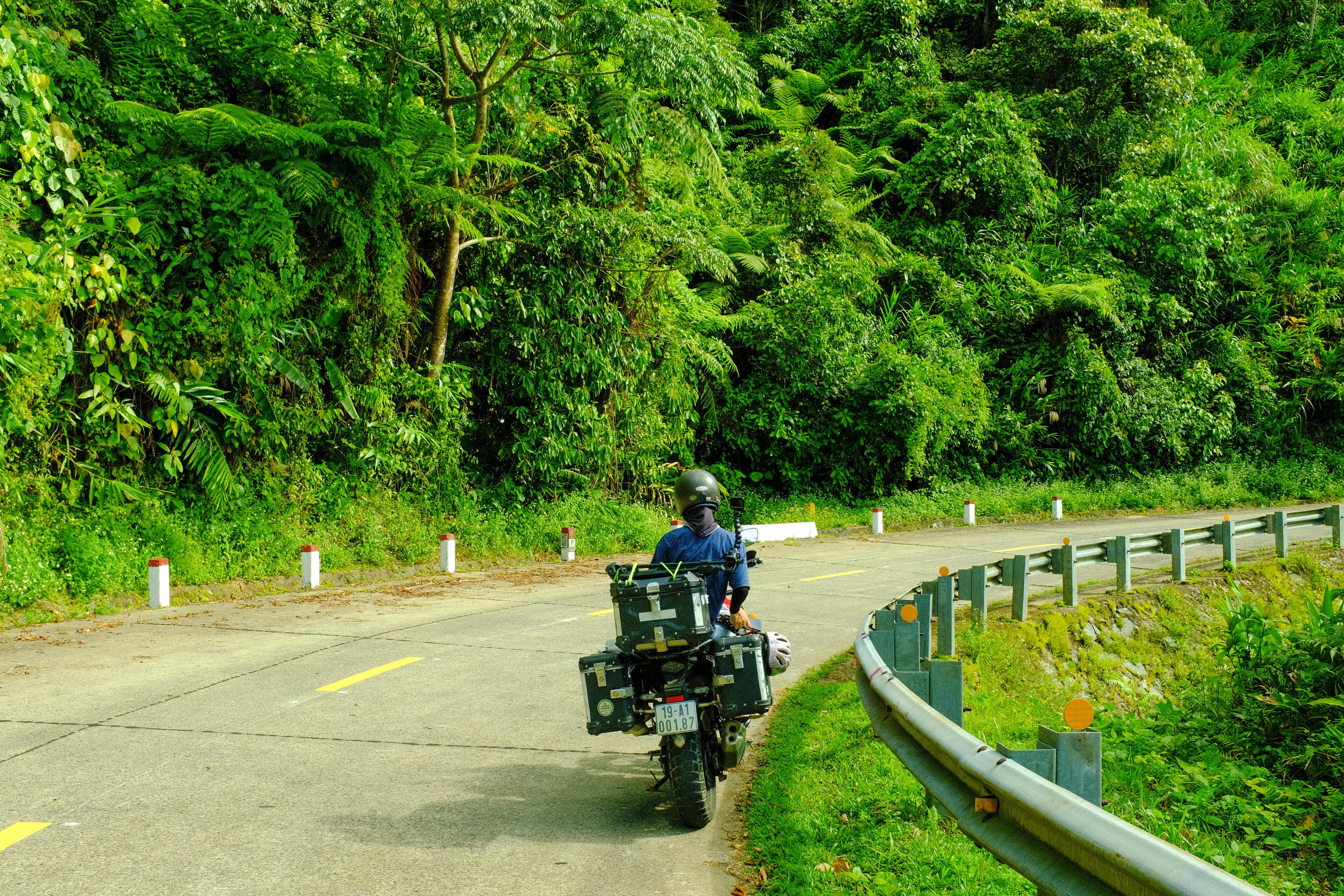 The scenery of lush, dense green forests is truly mesmerizing