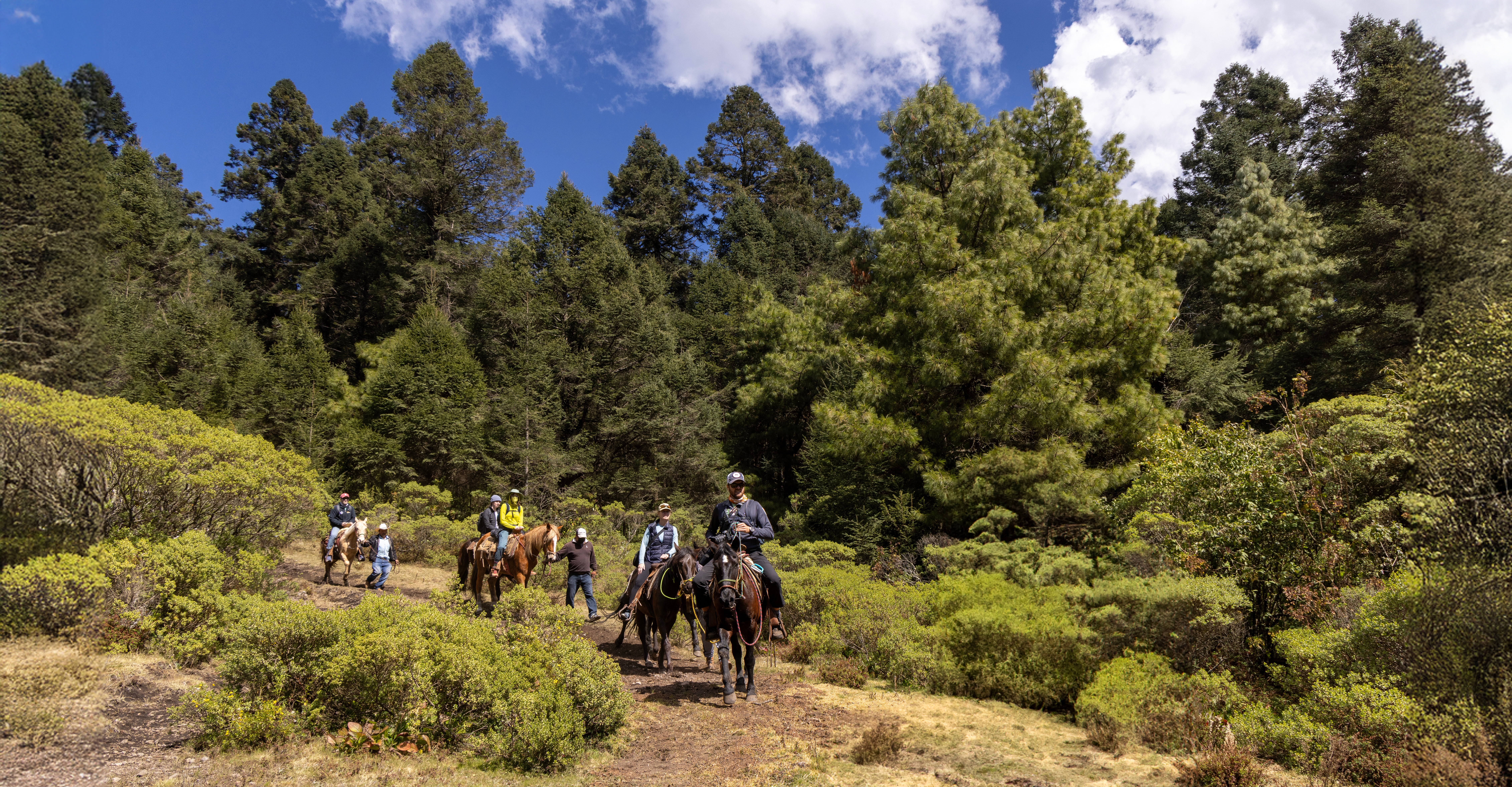 Nat Hab guests, El Rosario Butterfly Sanctuary, Angangueo, Mexico.