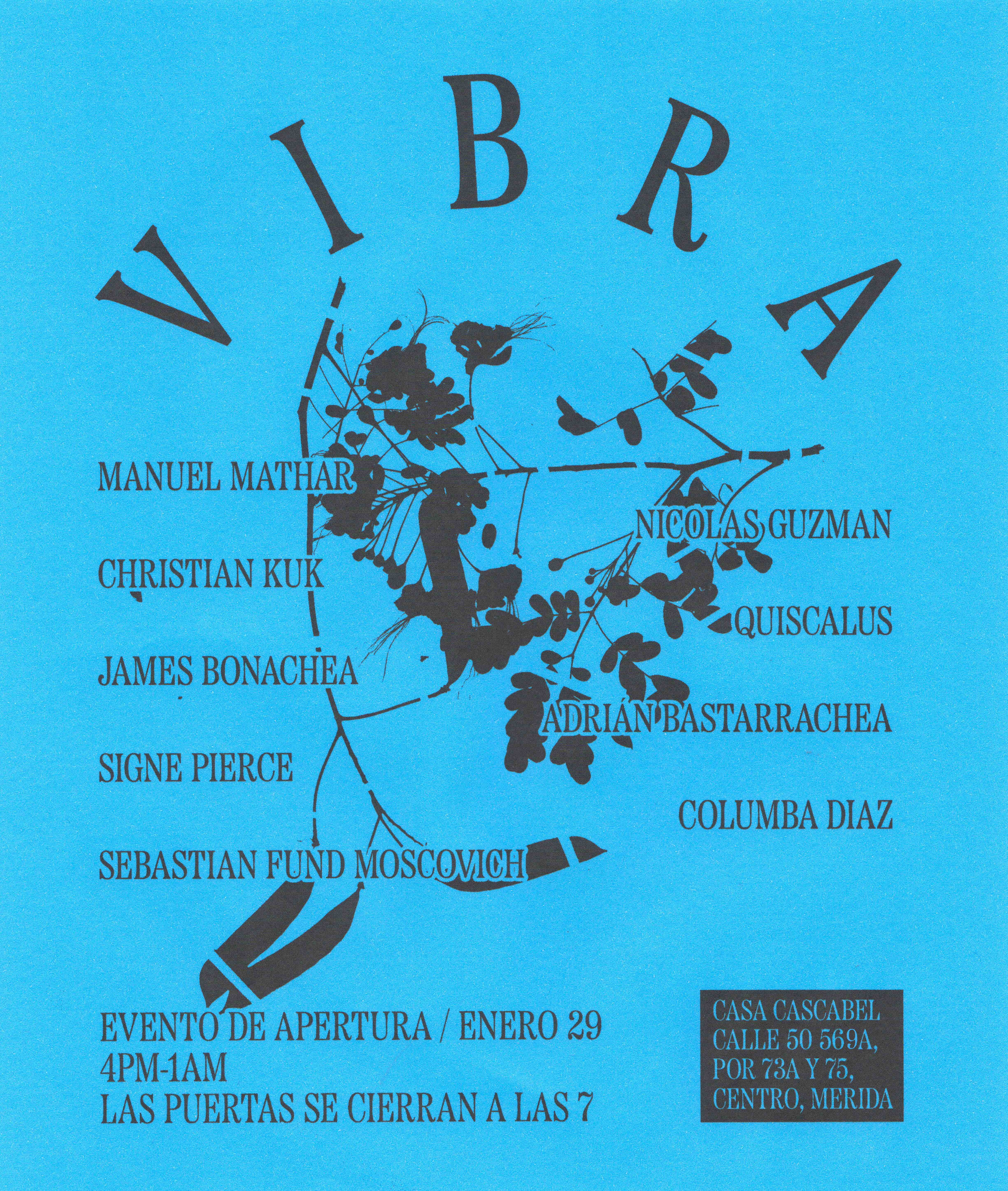 Vibra event flyer