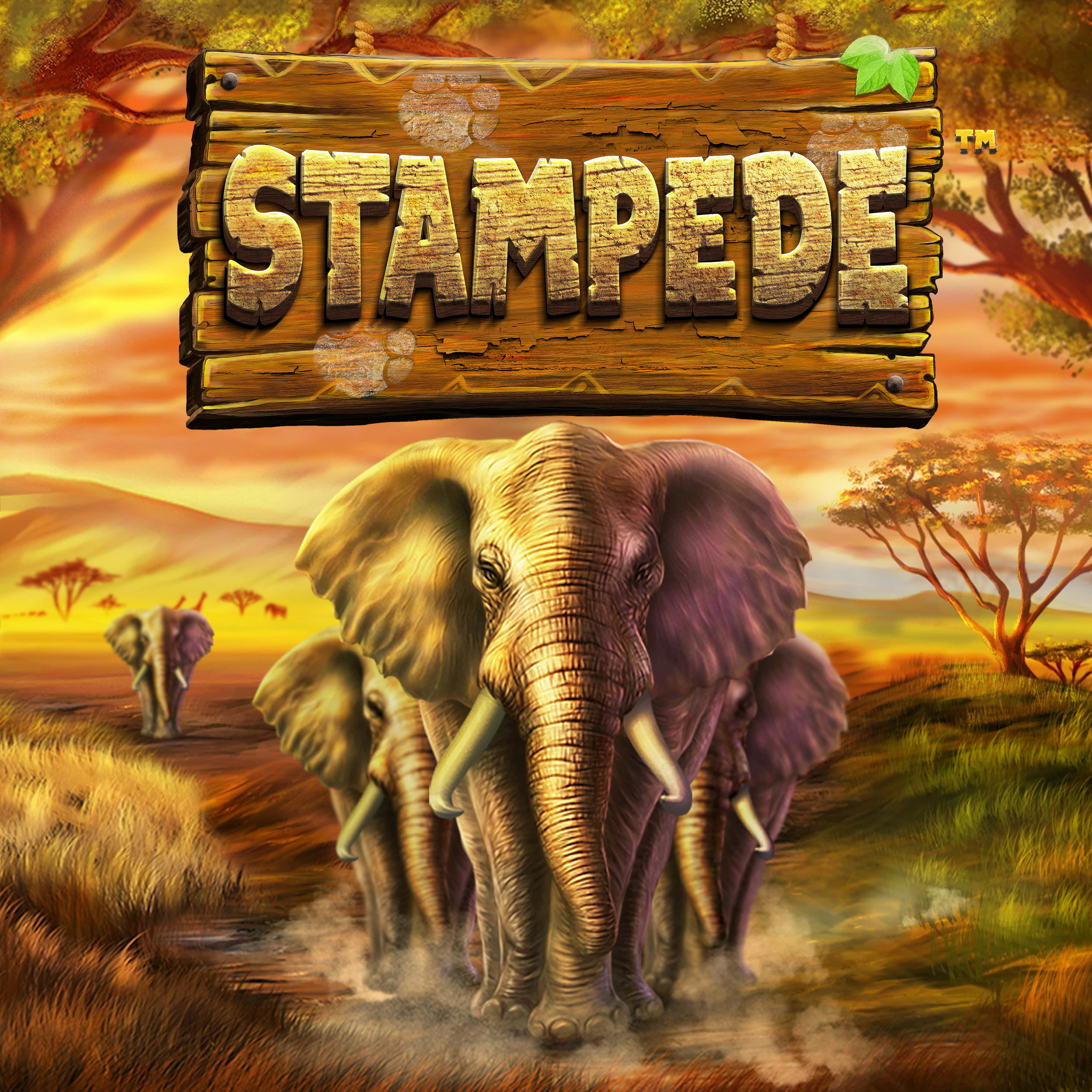在Madisoncasino.be在线赌场上玩Stampede