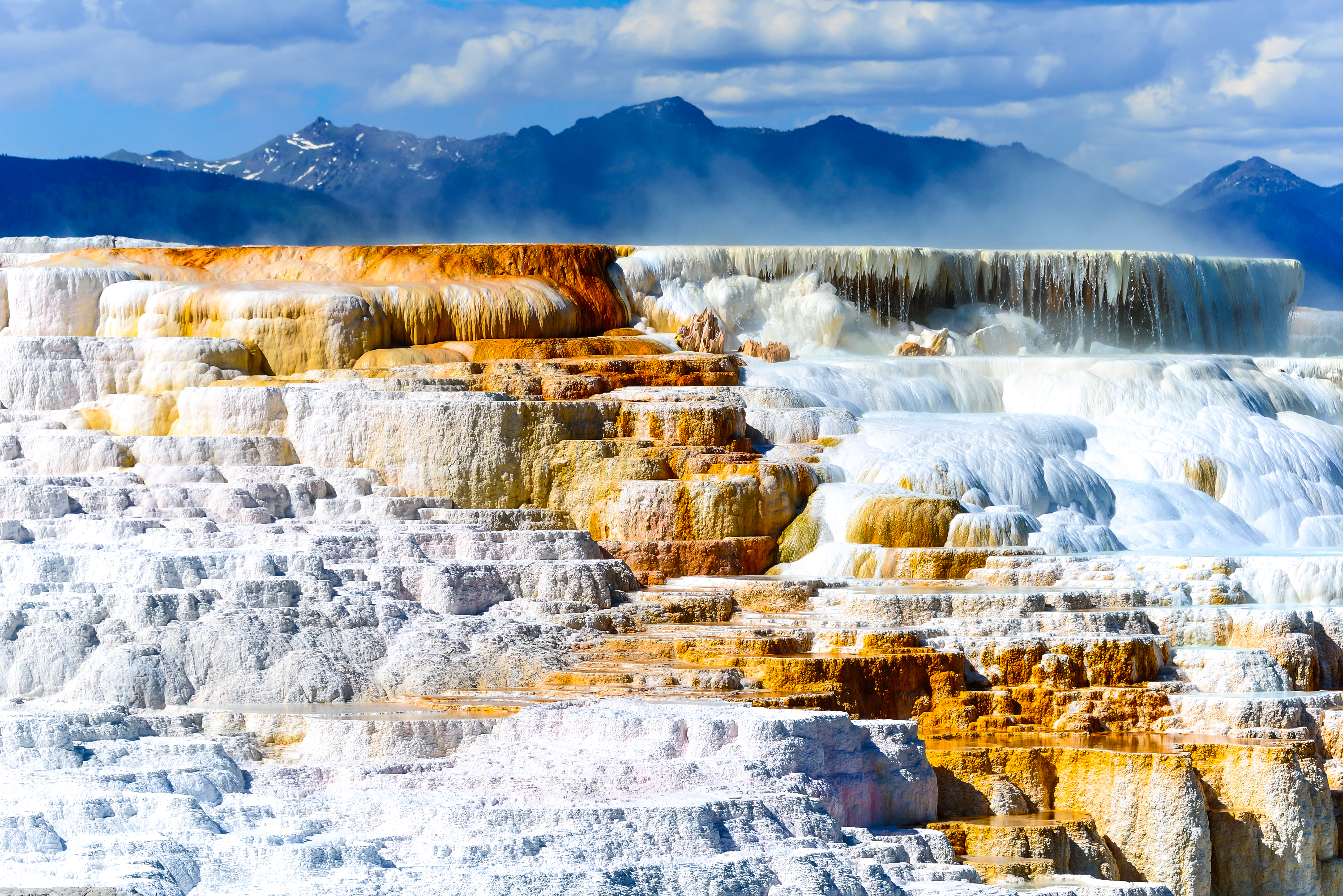 Canary Spring and terraces in the Mammoth Hot Spring area of Yellowstone National Park