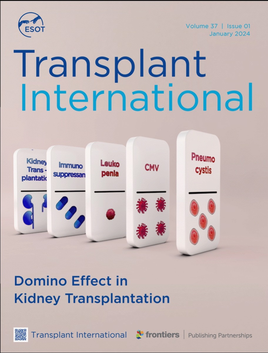 Domino Effect in Kidney Transplantation