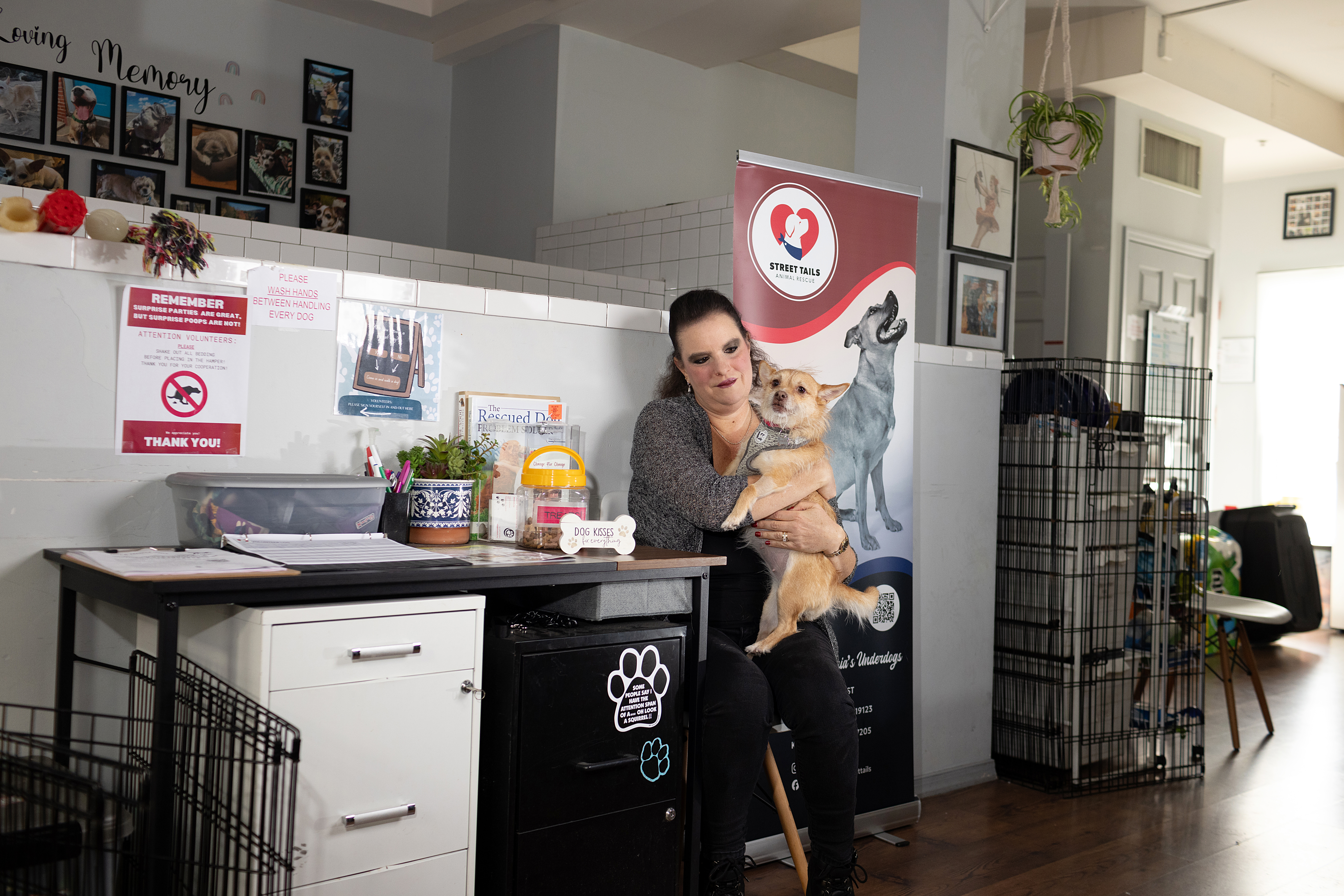 Nicole delaRosa sits next to a desk in an animal rescue center, holding a small tan dog. The desk is surrounded by rescue-related signs and a donation jar.