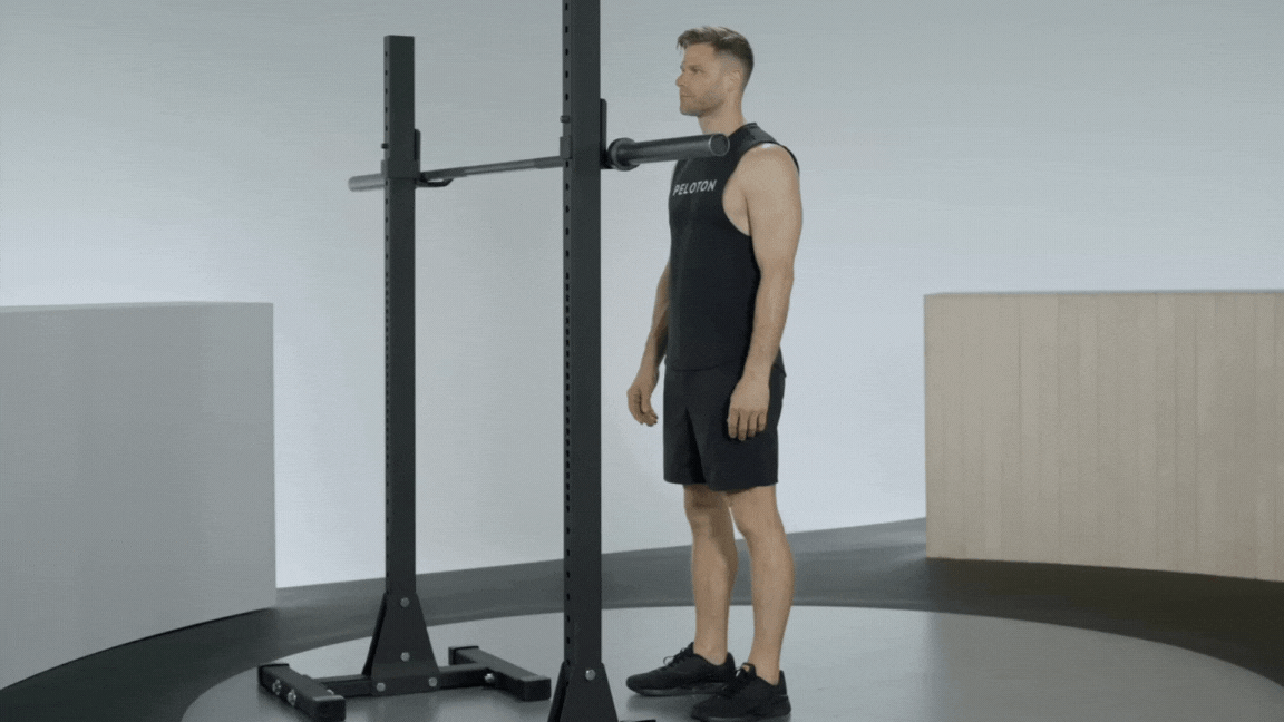 Barbell Back Squat