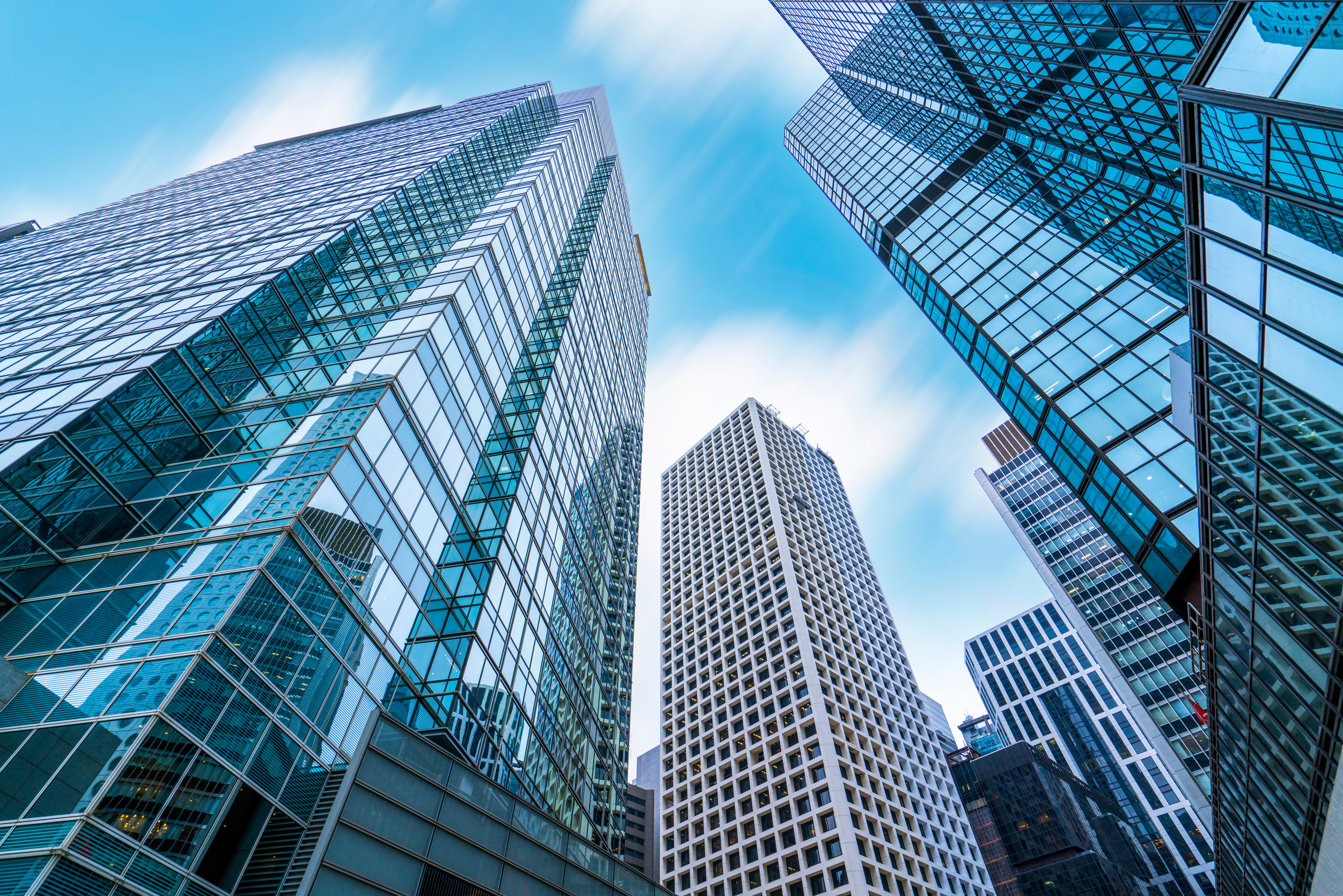 Optimized data and customized reports enhance marketing ROI