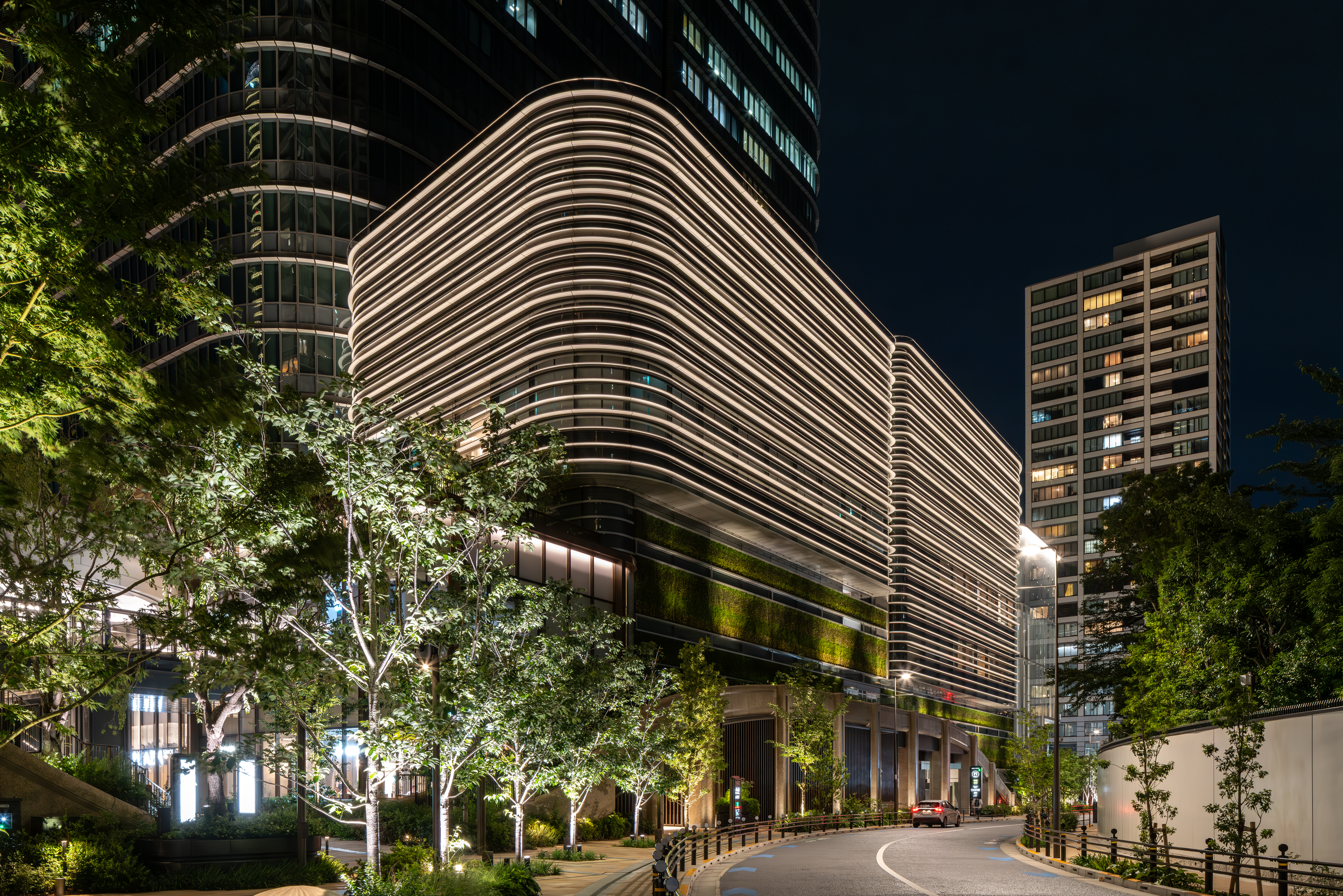 Photo Matthew Watson