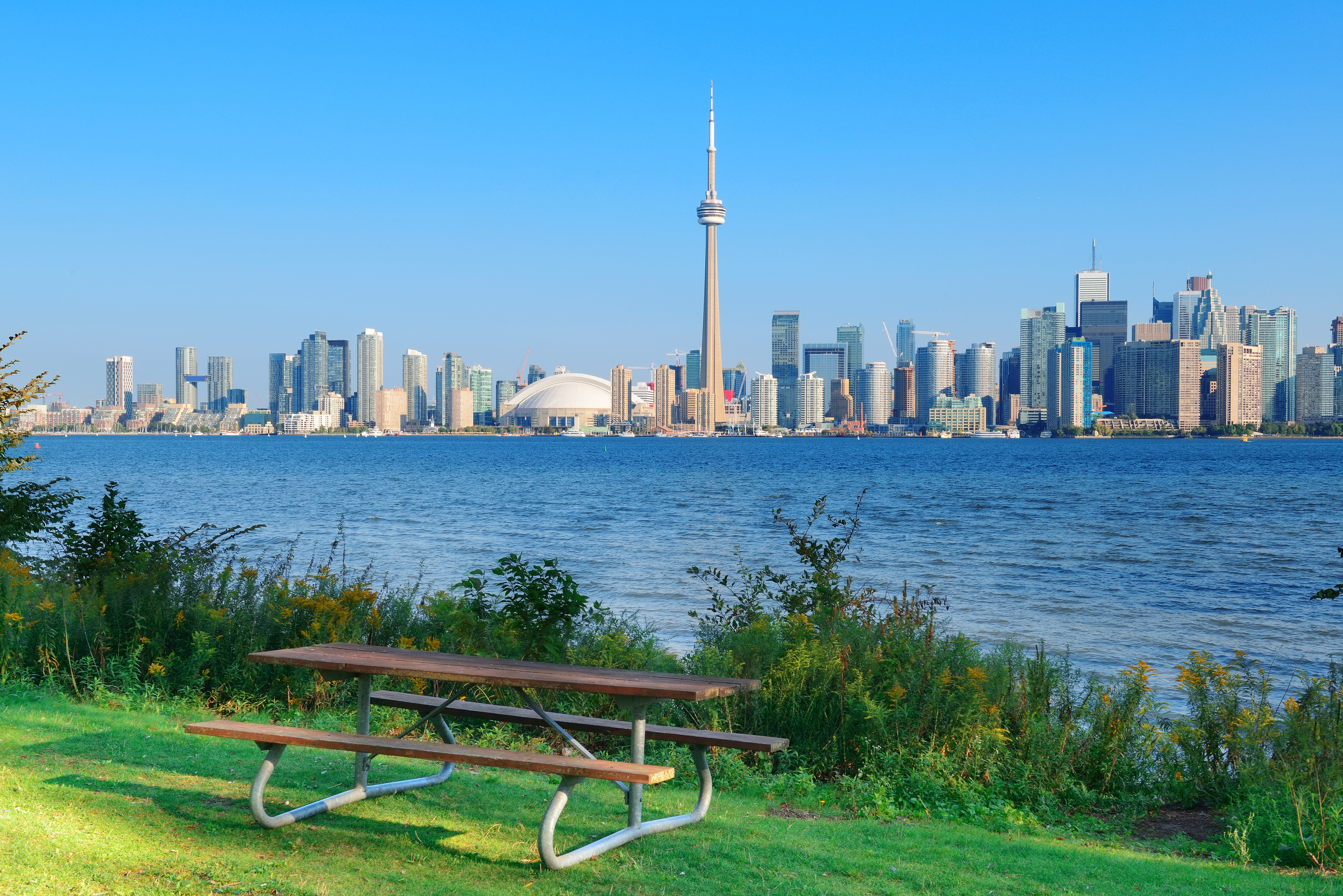 A picnic table sits on a grassy area by a body of water, with a city skyline in the background. The sky is clear and blue, highlighting the prominent tower and modern buildings.