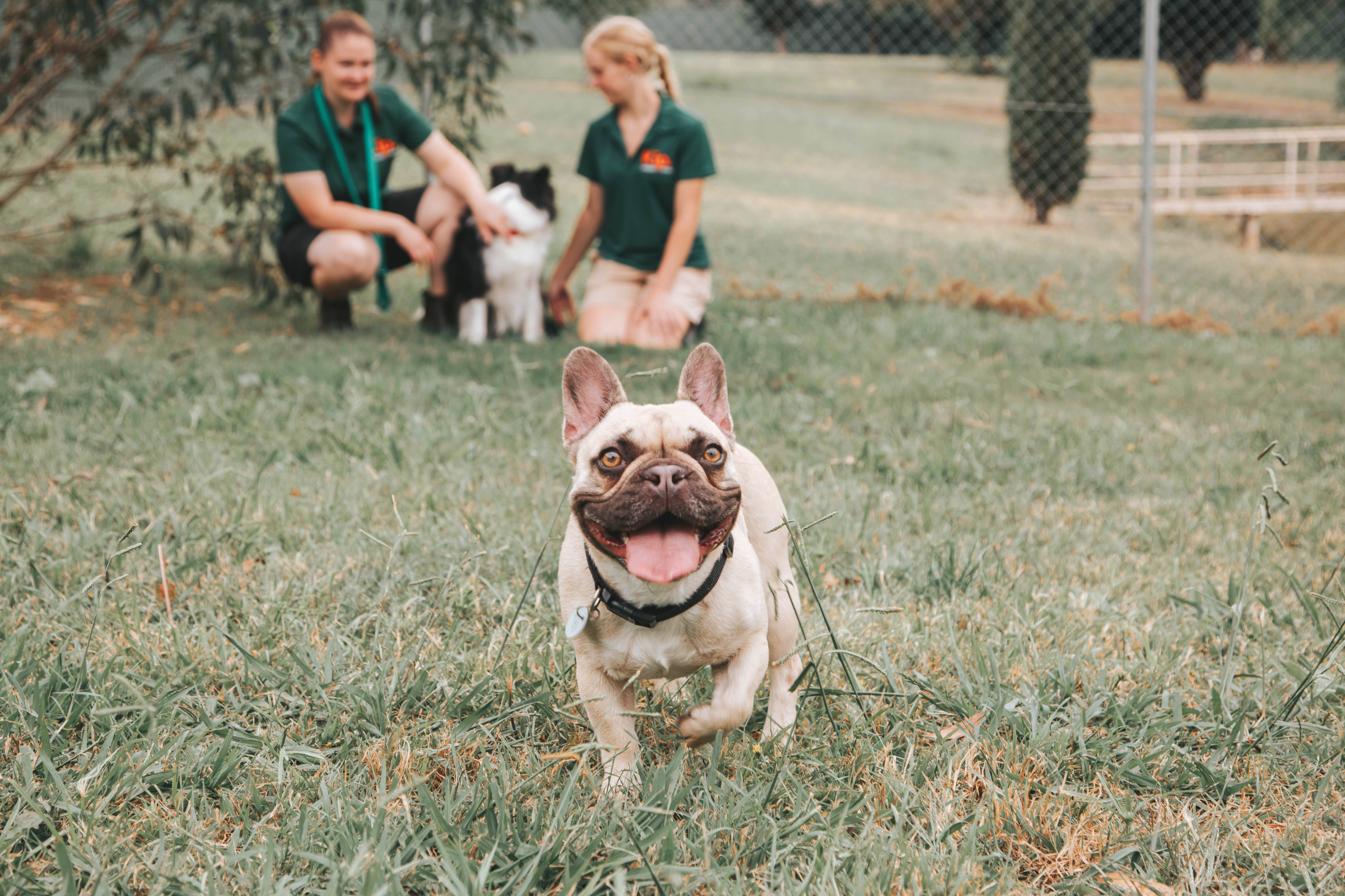 143 Wickerslack Lane, Queanbeyan, NSW 2620