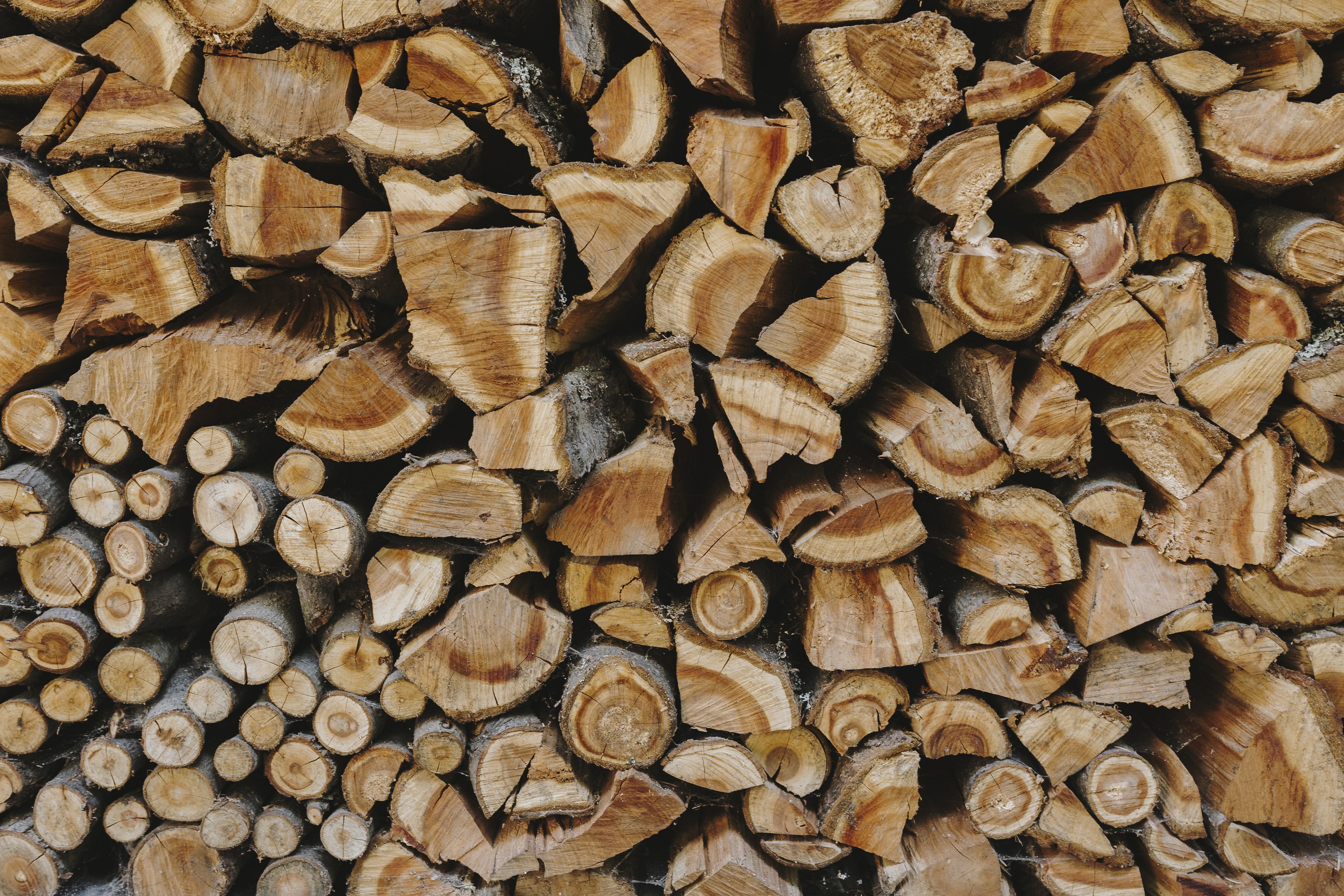 Entdecke, welches Holz dein BBQ auf das nächste Level hebt! Lerne die Vor- und Nachteile verschiedener Holzarten kennen. Jetzt mehr erfahren!