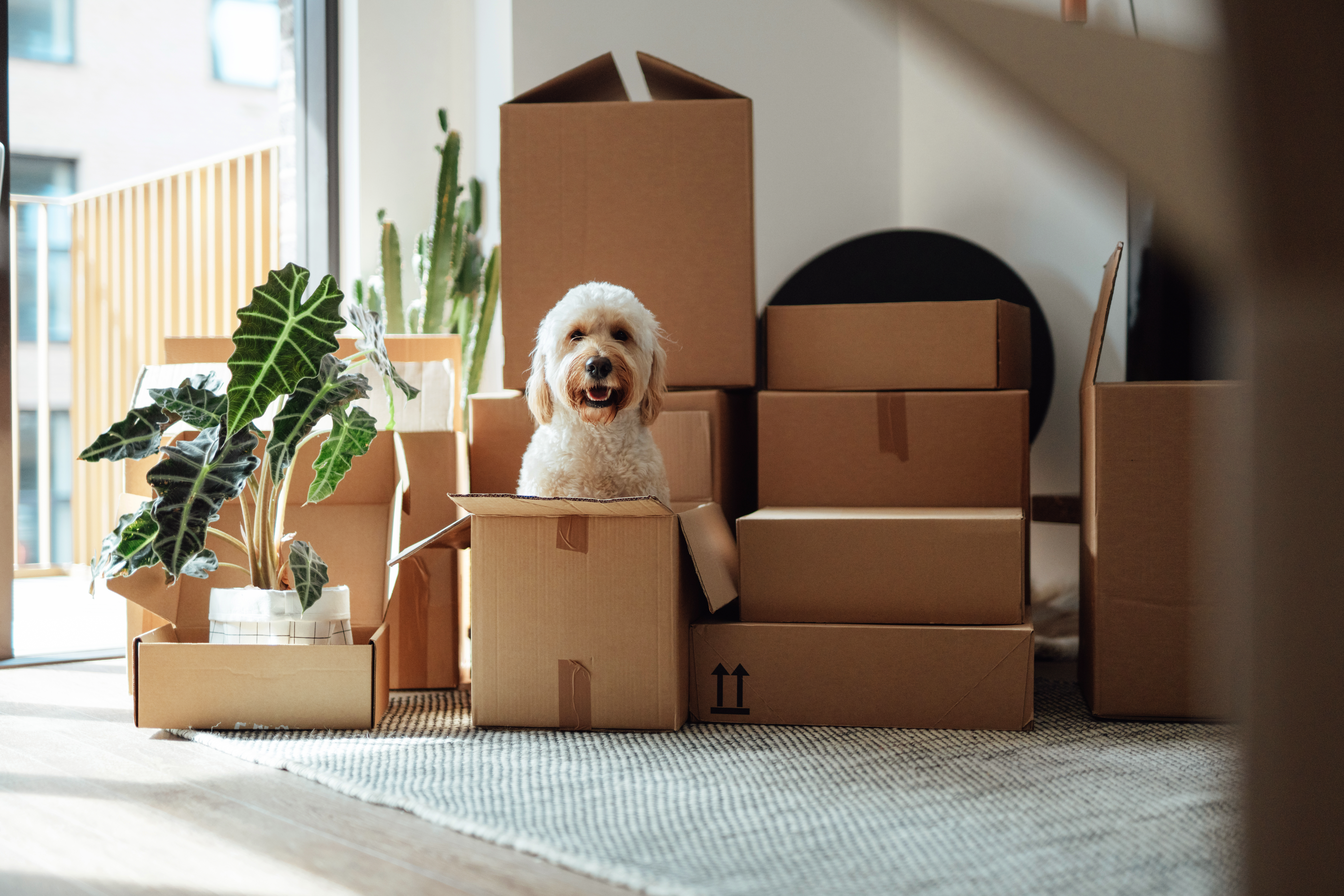 Hero Image IKEA Partners with Docusign To Fast-Track Onboarding for Multinational Workforce
