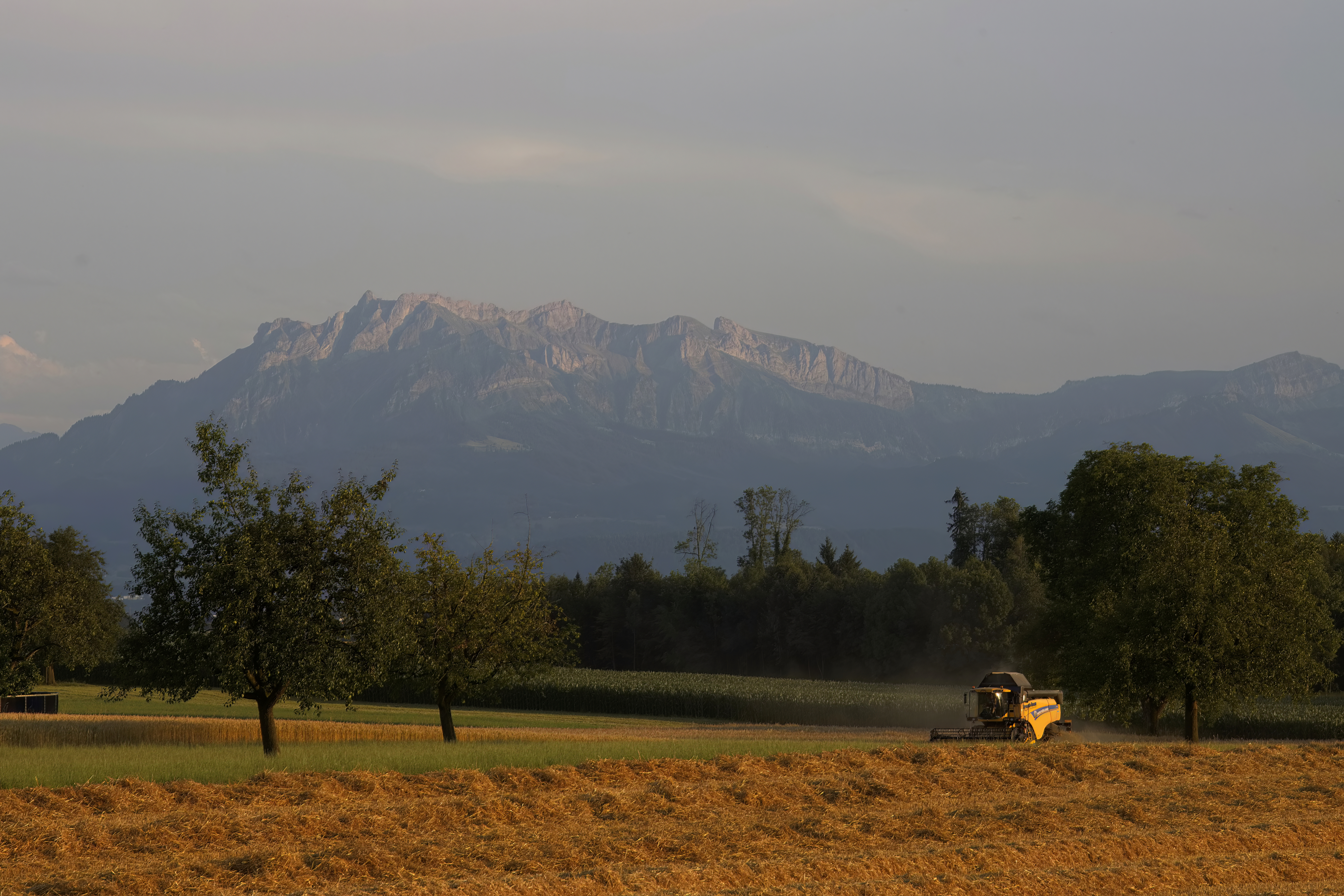 Getreide- und Ölsaatenernte