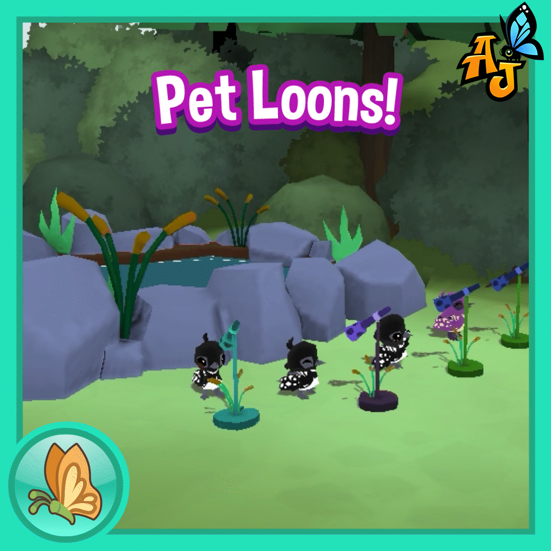 Pet Loons!