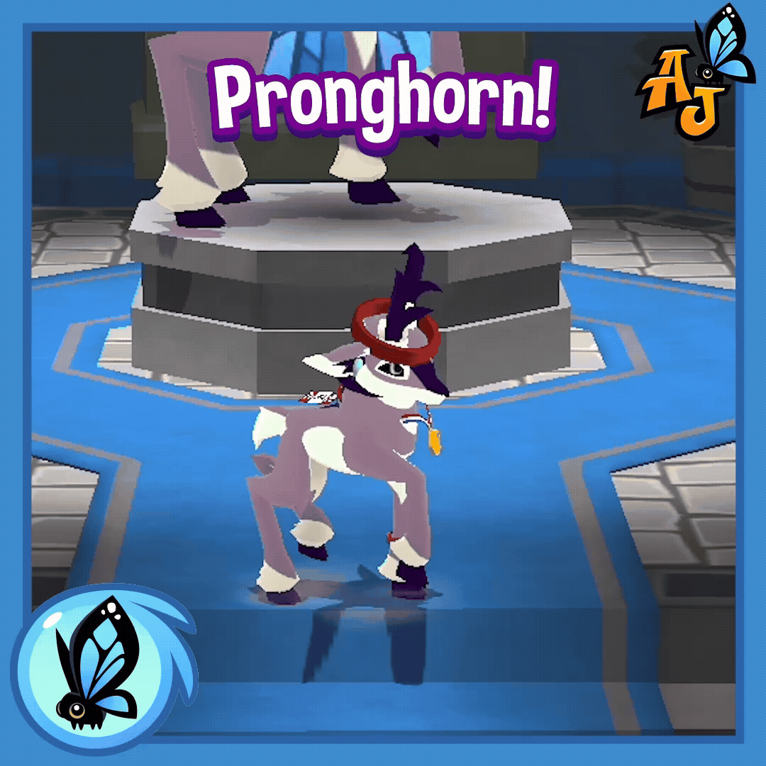 Pronghorn