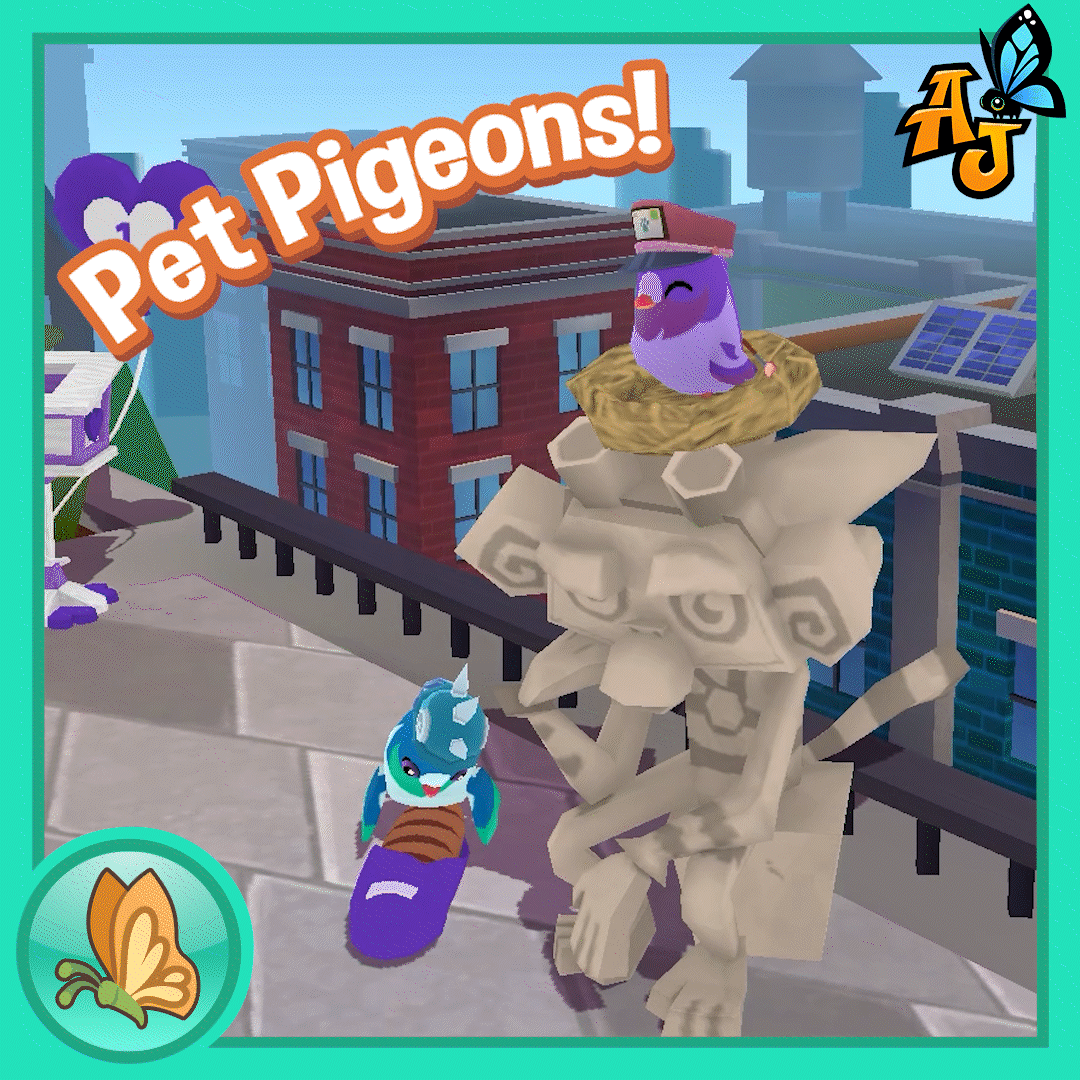 PetPigeon GIF