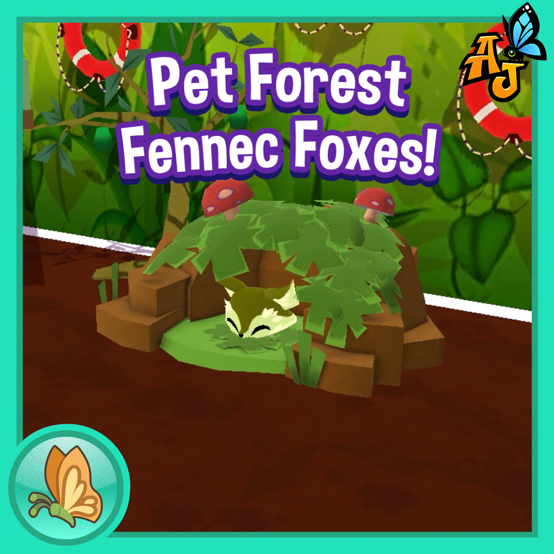 Pet Forest Fennec Foxes!