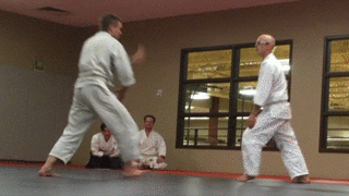 aikido-shomenuchi-iriminage