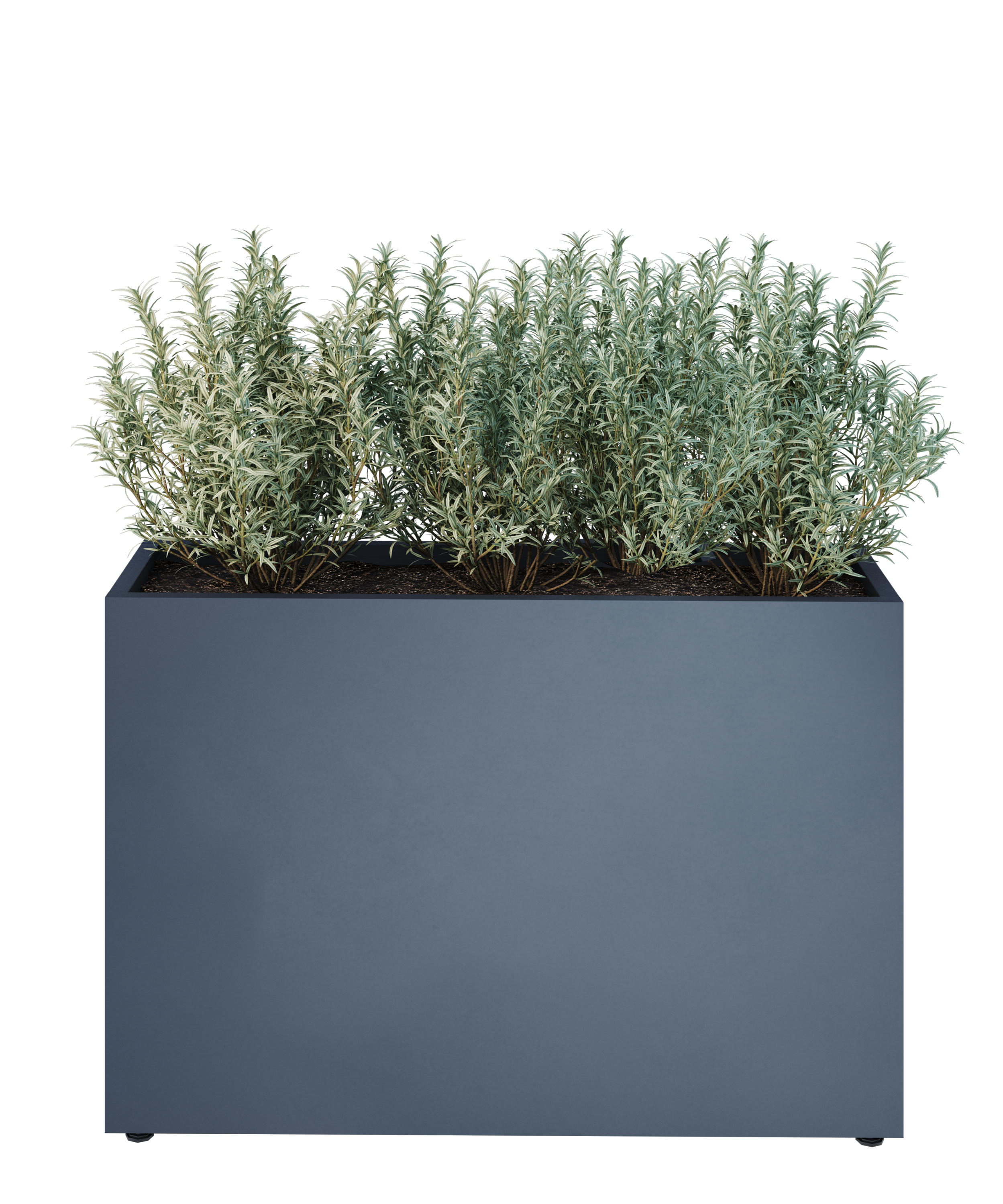 parapetne 30 model view