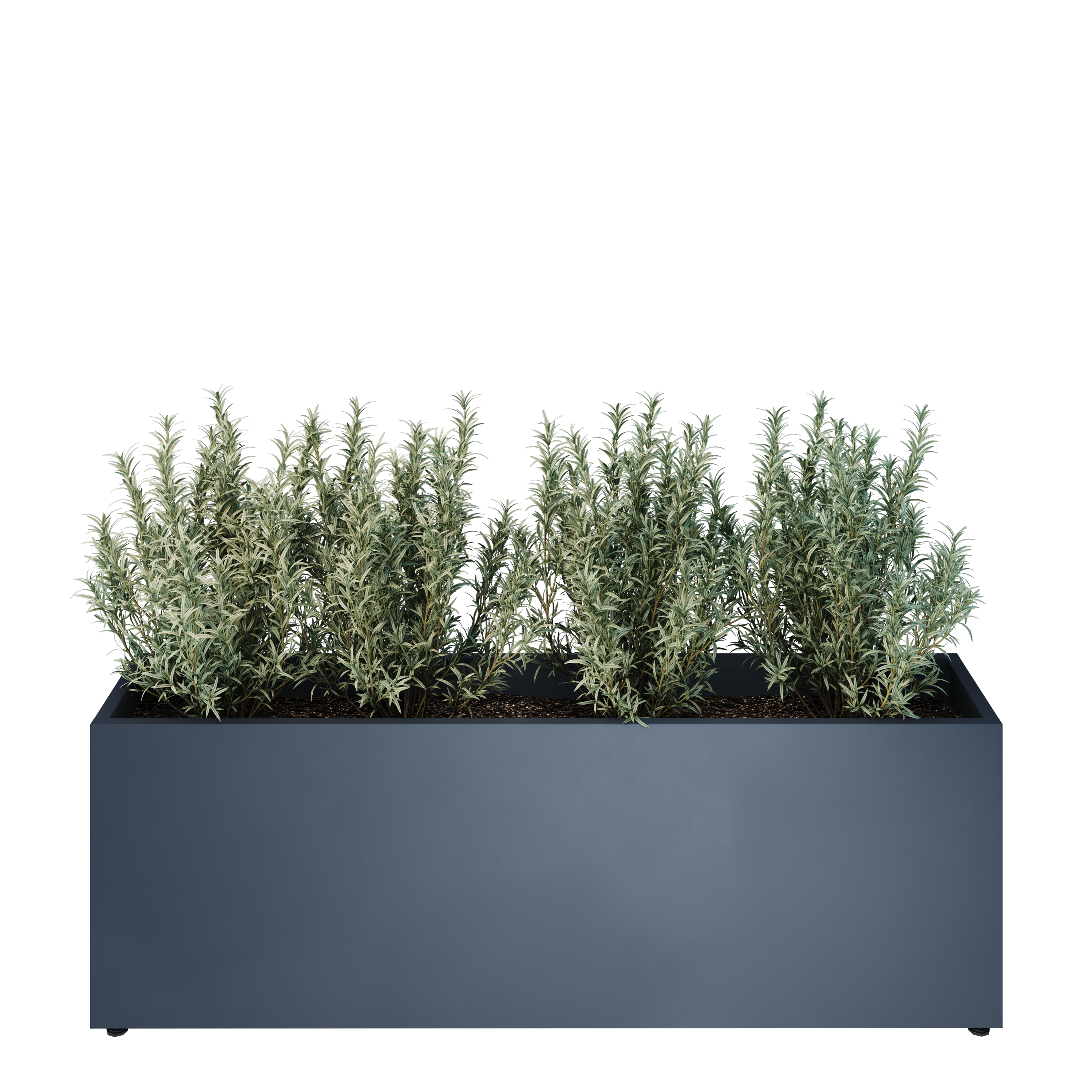 pravougaone 30 model view