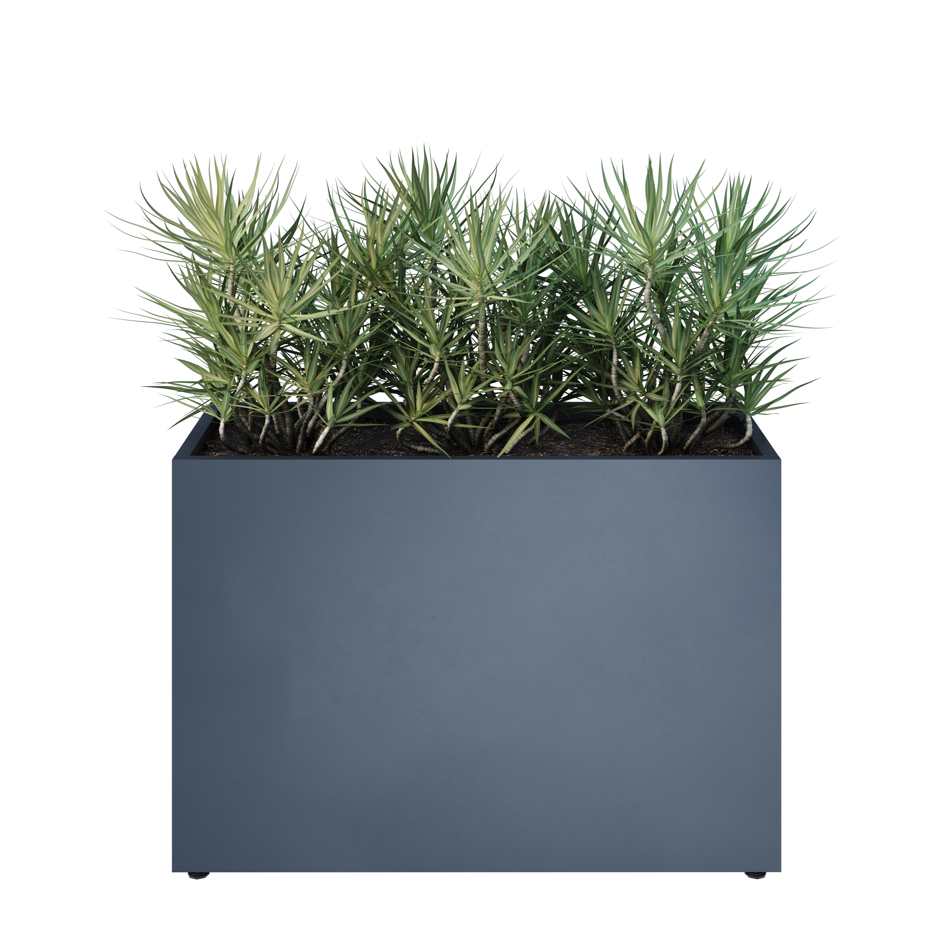 parapetne 40 model view