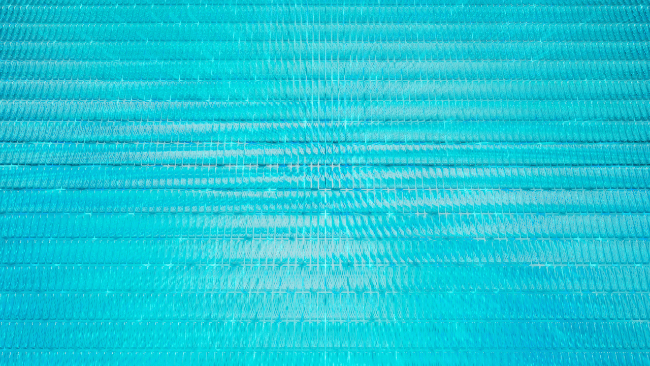 Vivo X200FE