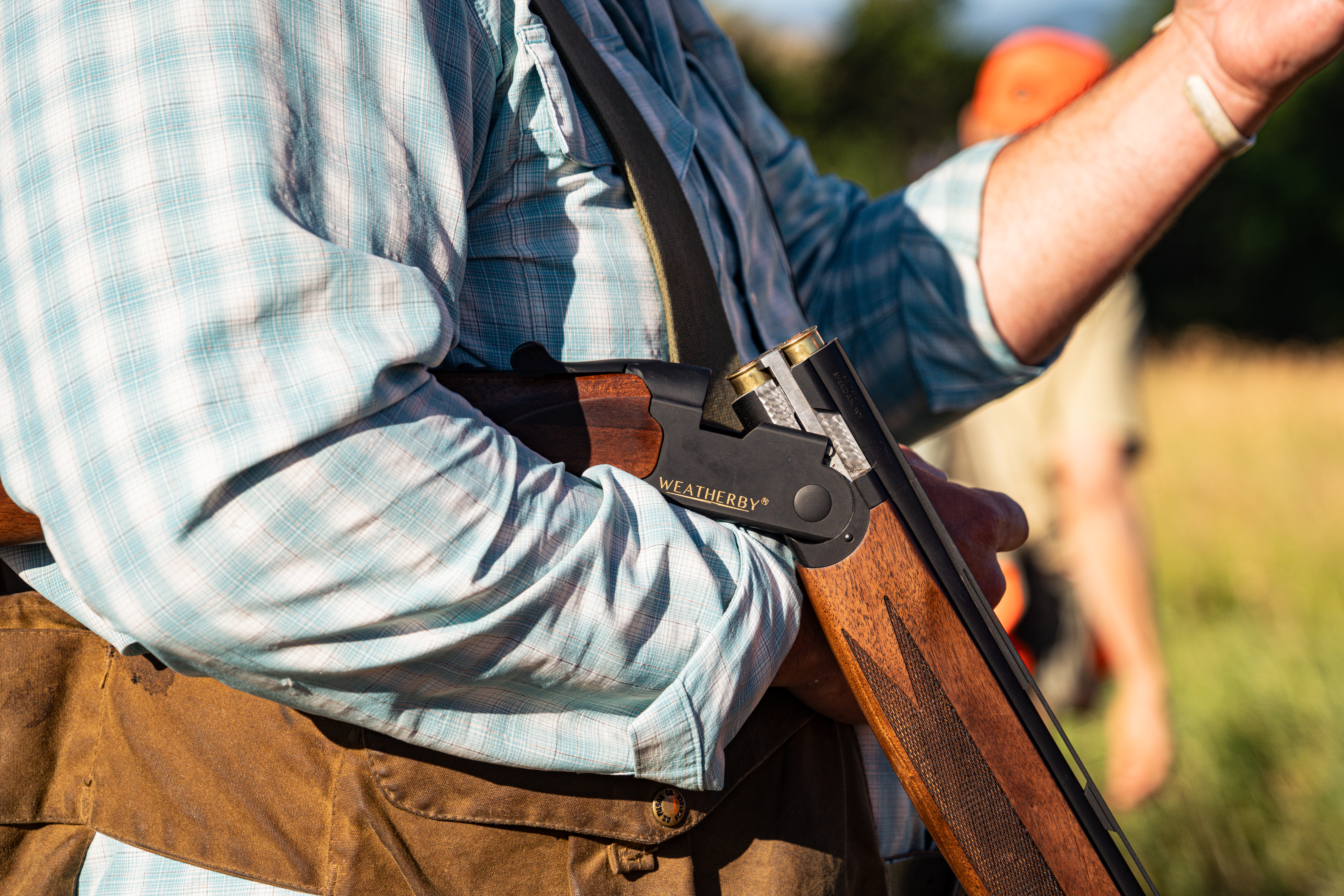 A hunter cradles an open Weatherby Orion over-under shotgun in his arm on a pheasant hunt. 