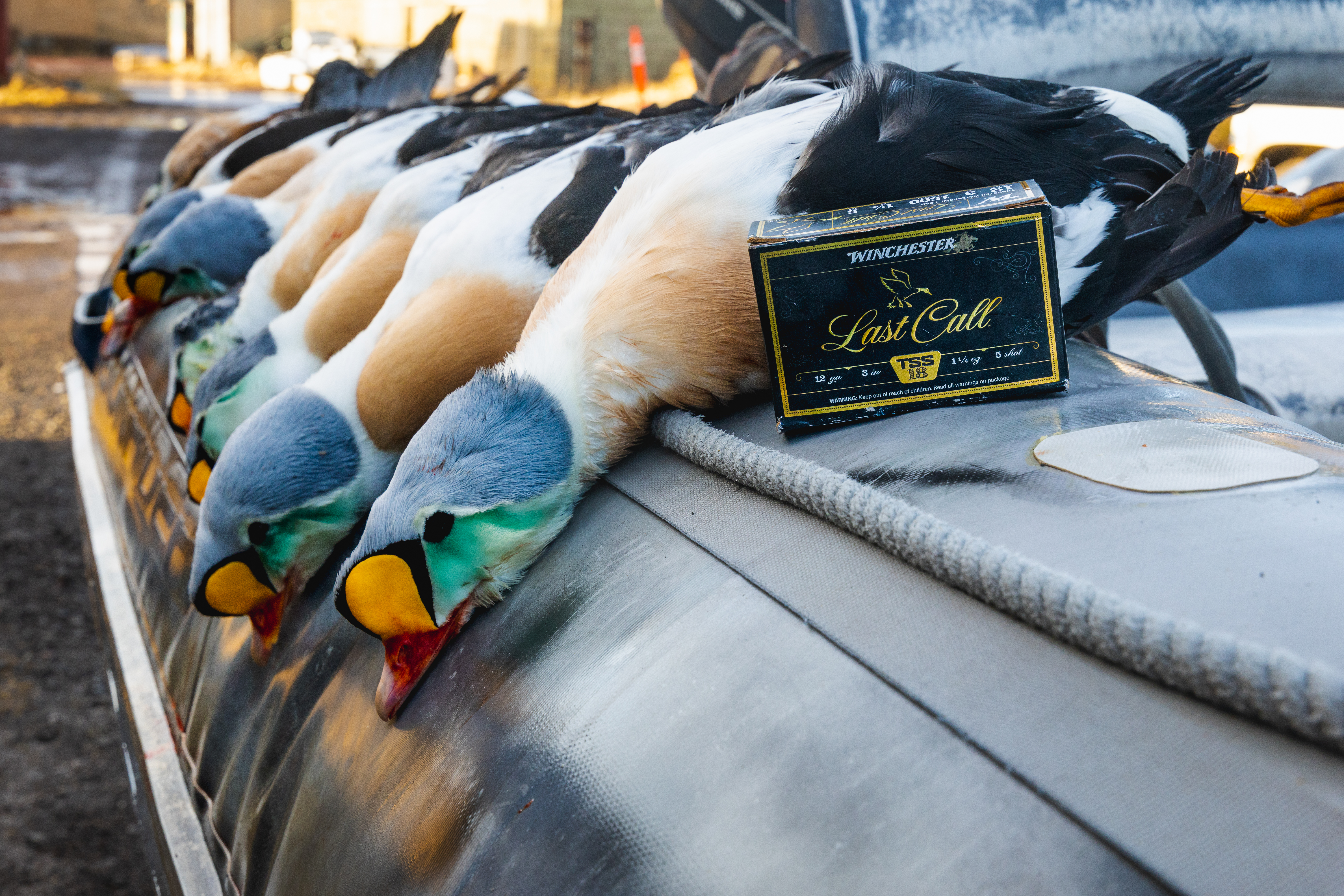 Winchester last call box next to king eiders