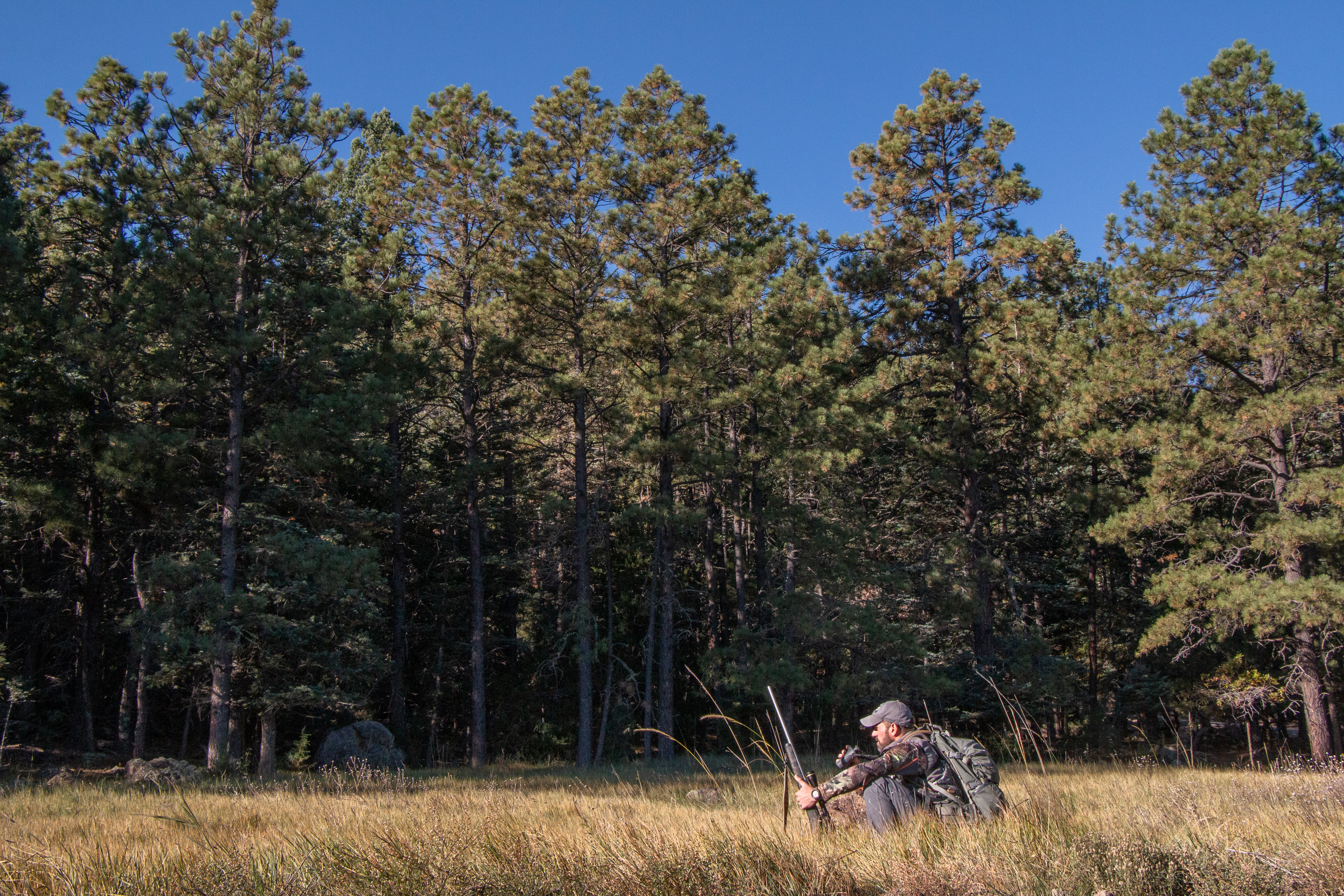 An elk hunter hunkers down near the ground in an alpine meadow with timber in the background.