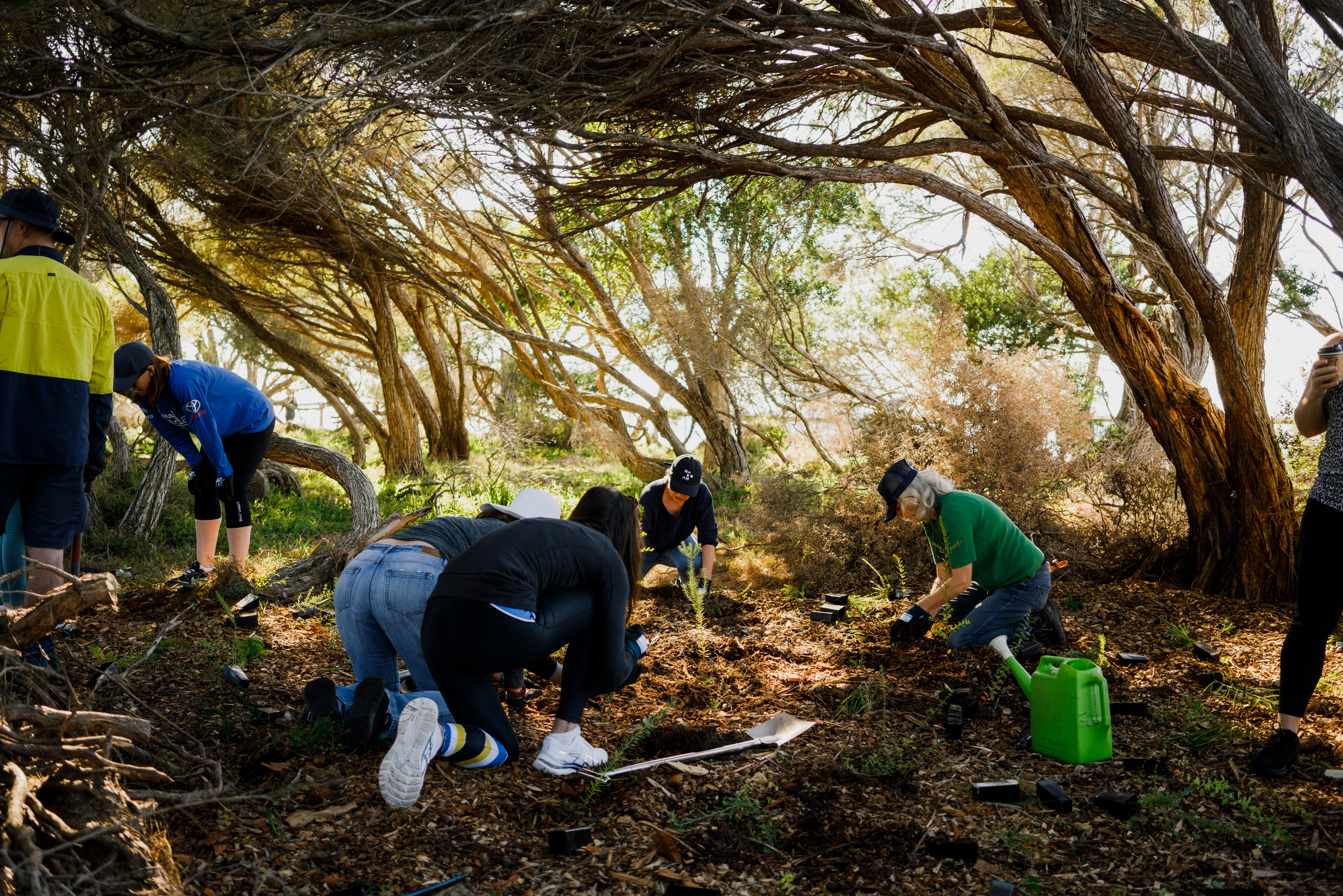 Meet the Sydney councils with big plans for National Tree Day this July