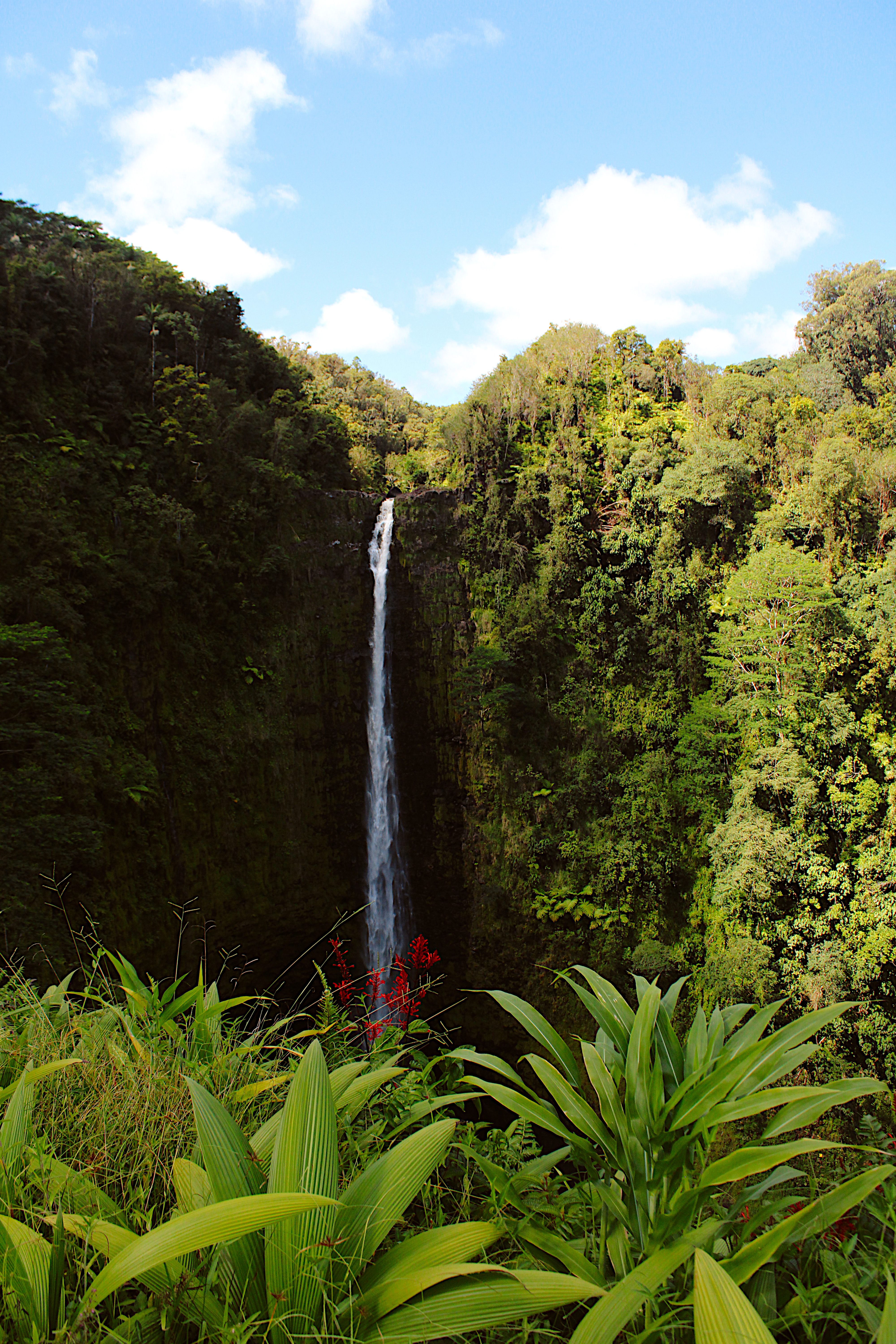 Waterfalls near Hilo, Hawaii