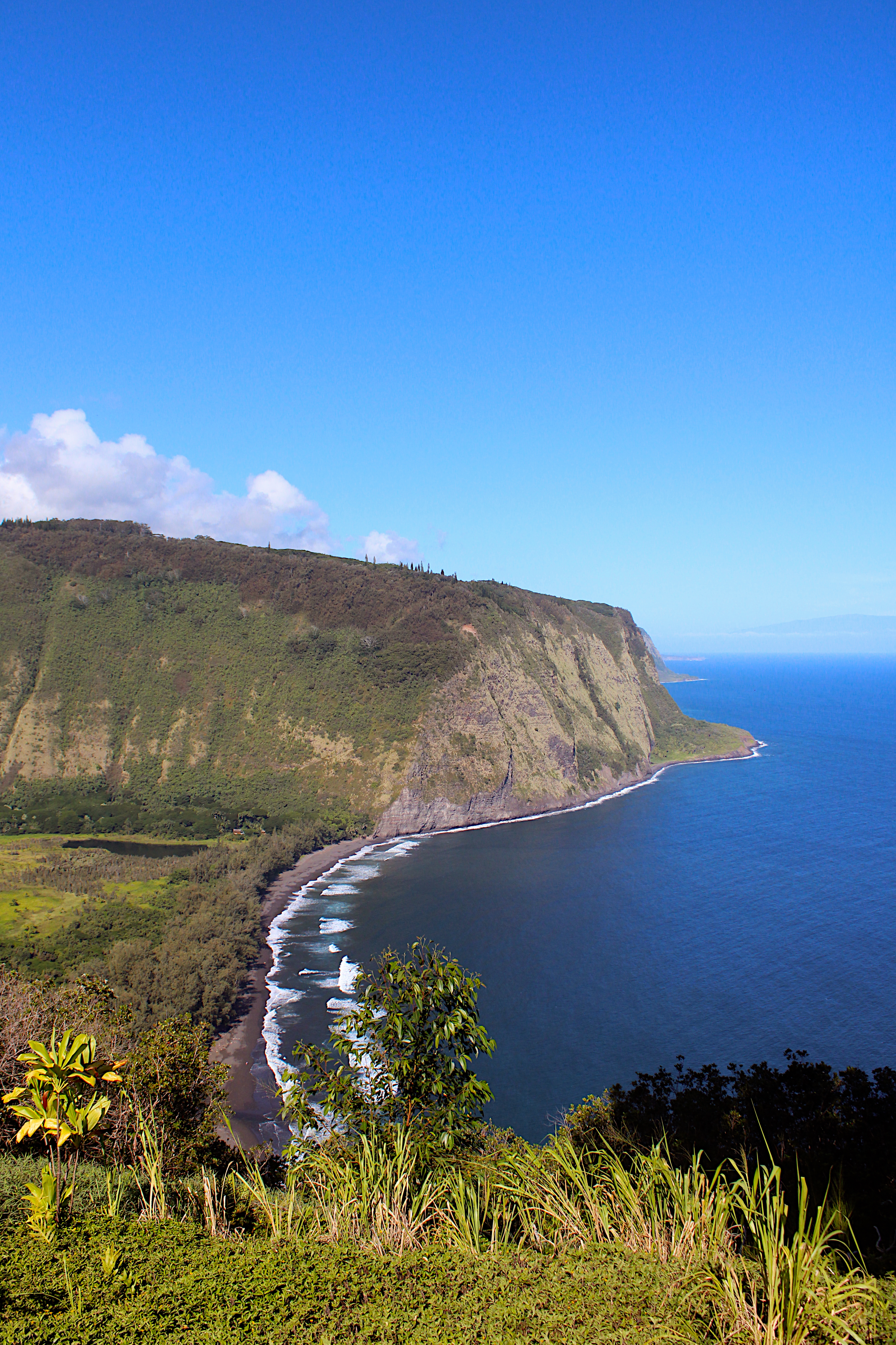 Kona To Hilo Day Trip