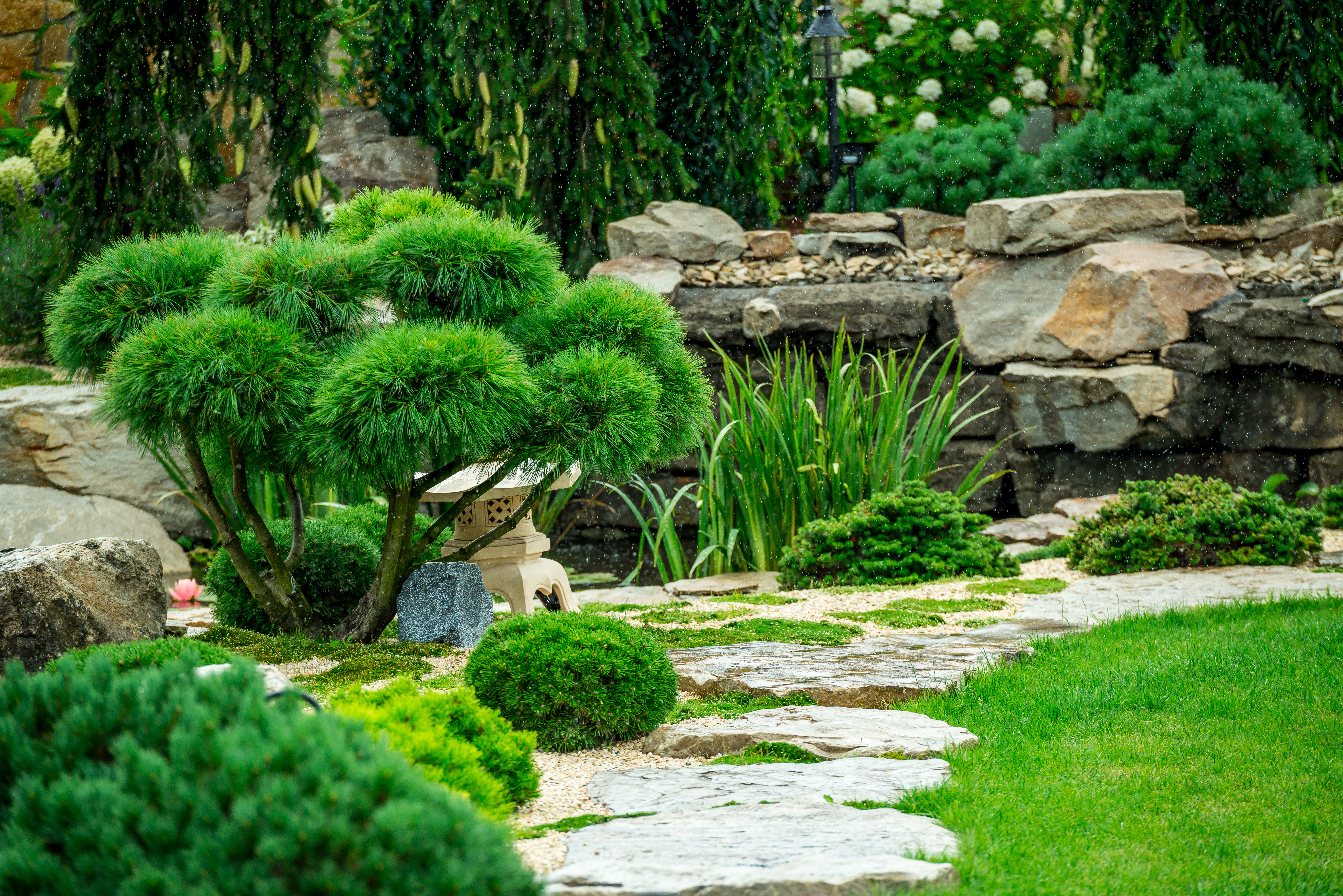 Zen garden with small shrubs,  Bonsai tree, hedges and stone path