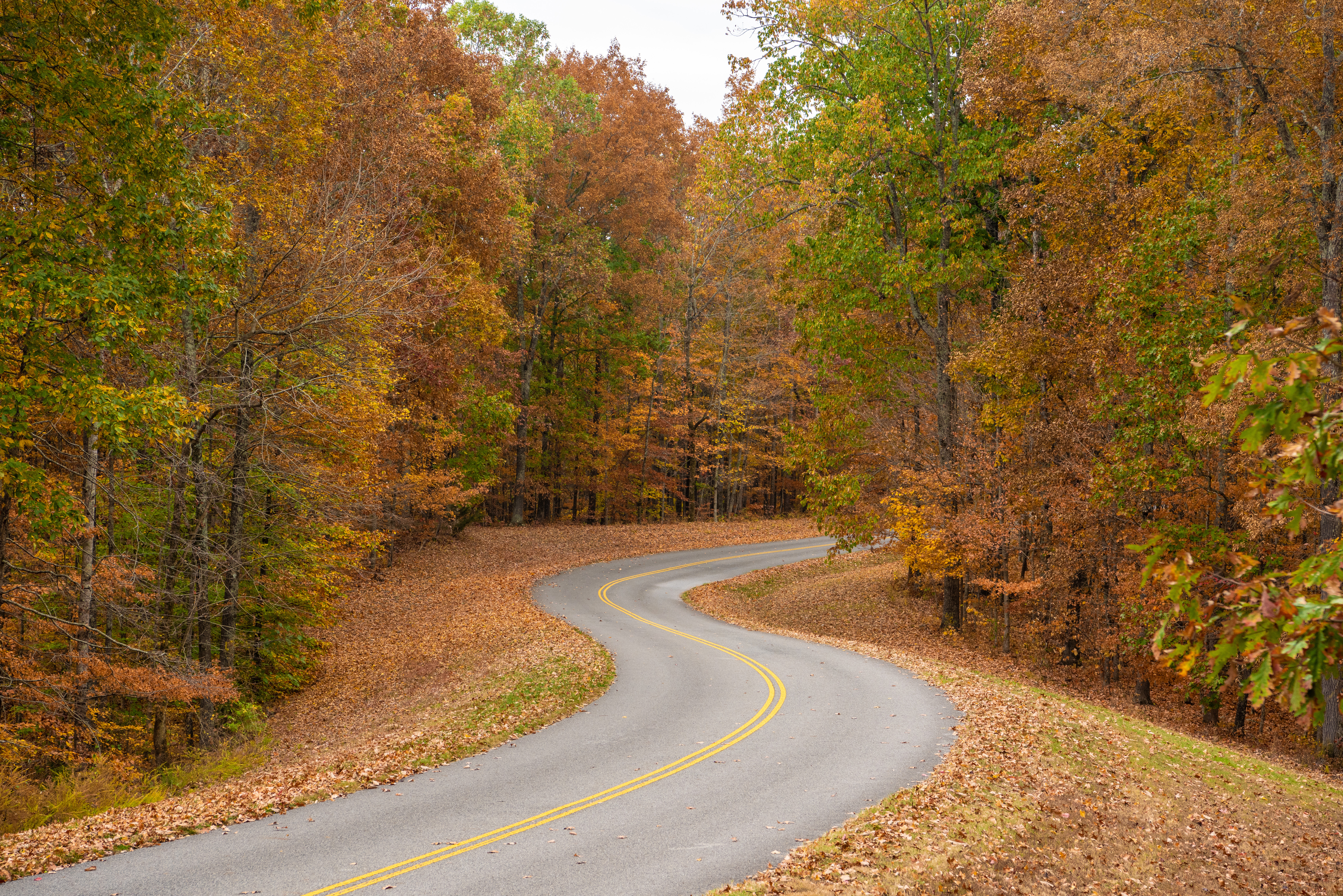 Winding road through colorful fall foliage