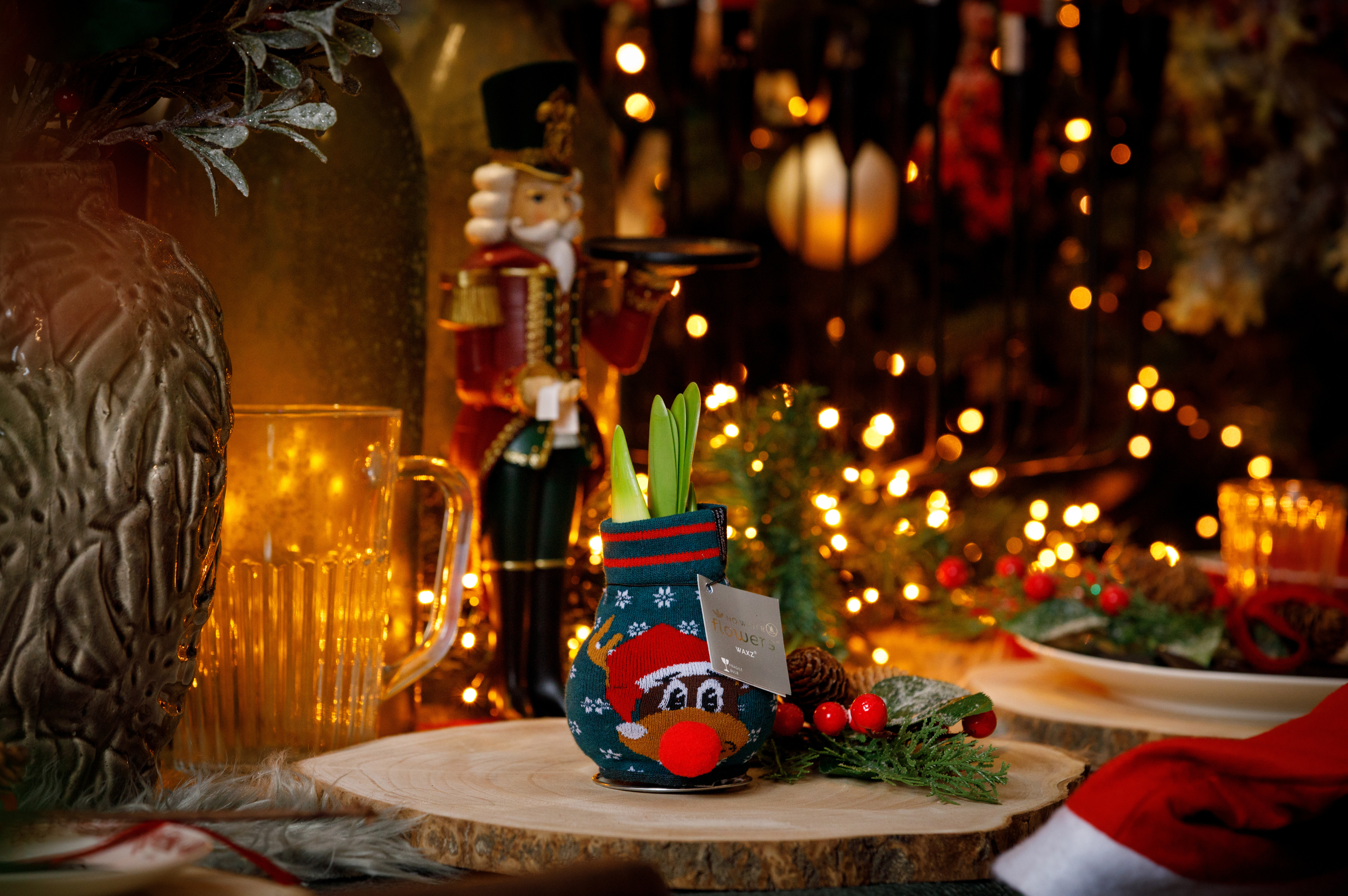 Amaryllis en pot - Le classique de l'hiver pour les fleuristes