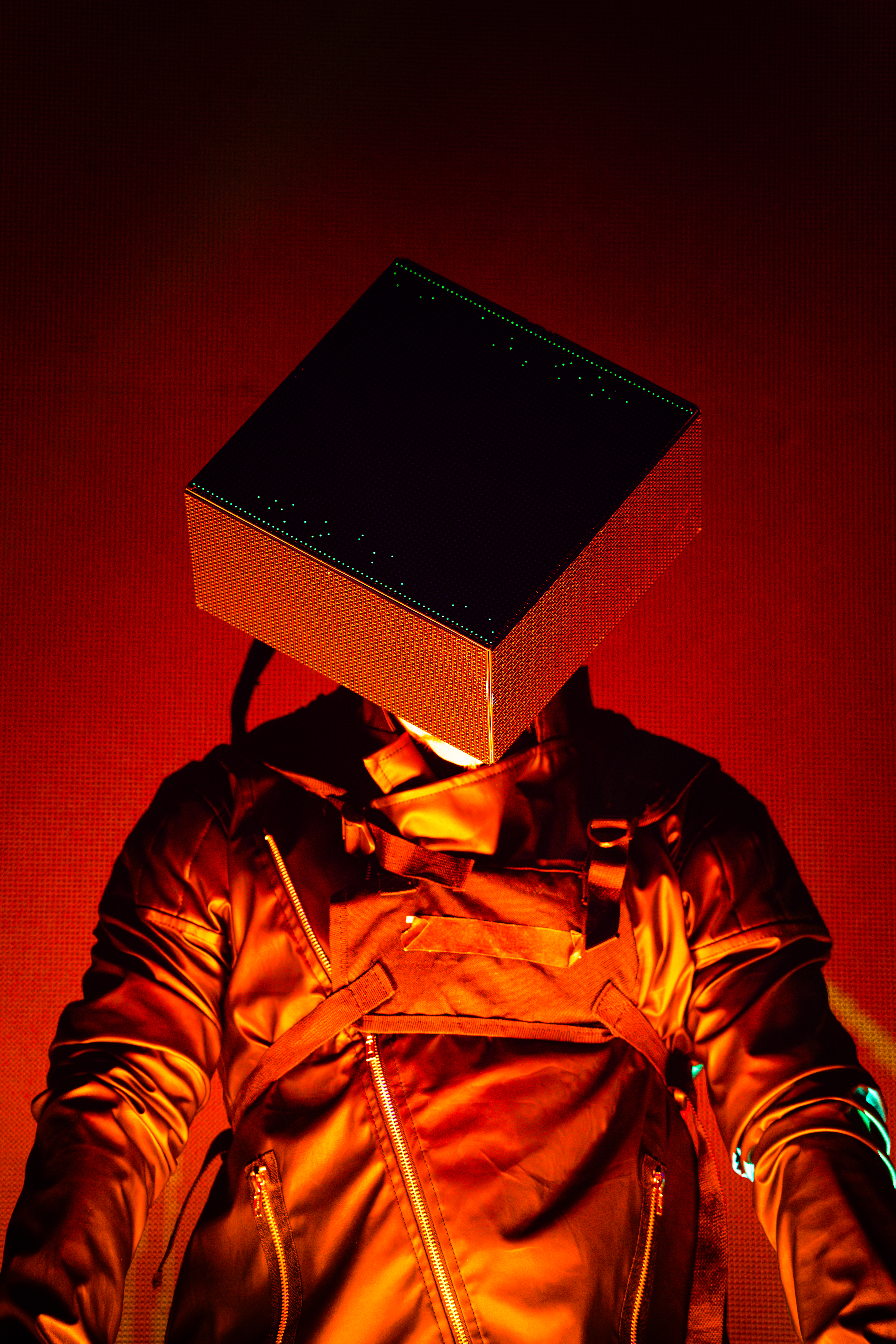 moenia-2