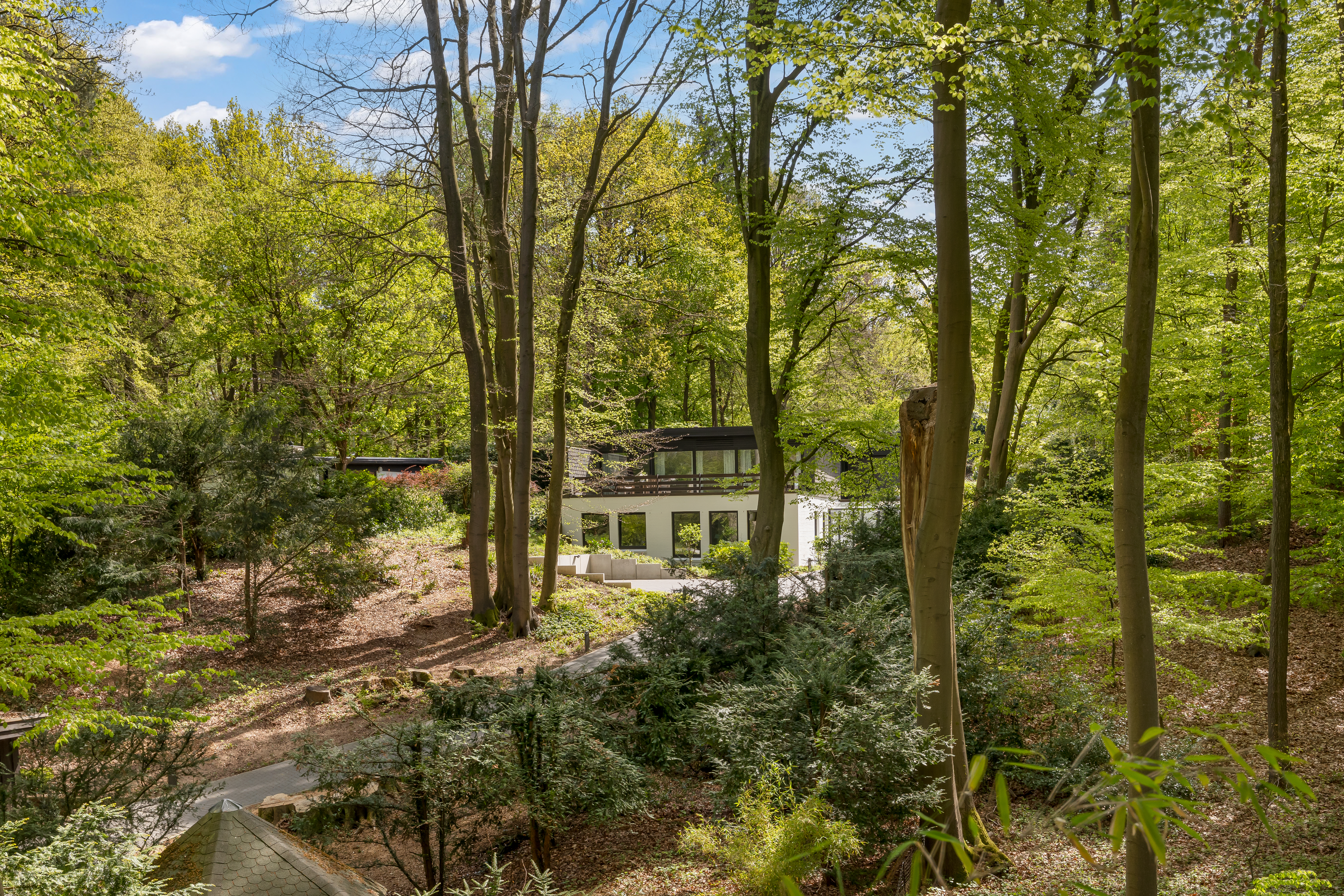 Modernes weißes Haus im Wald, umgeben von vielen Bäumen und grünem Laub.