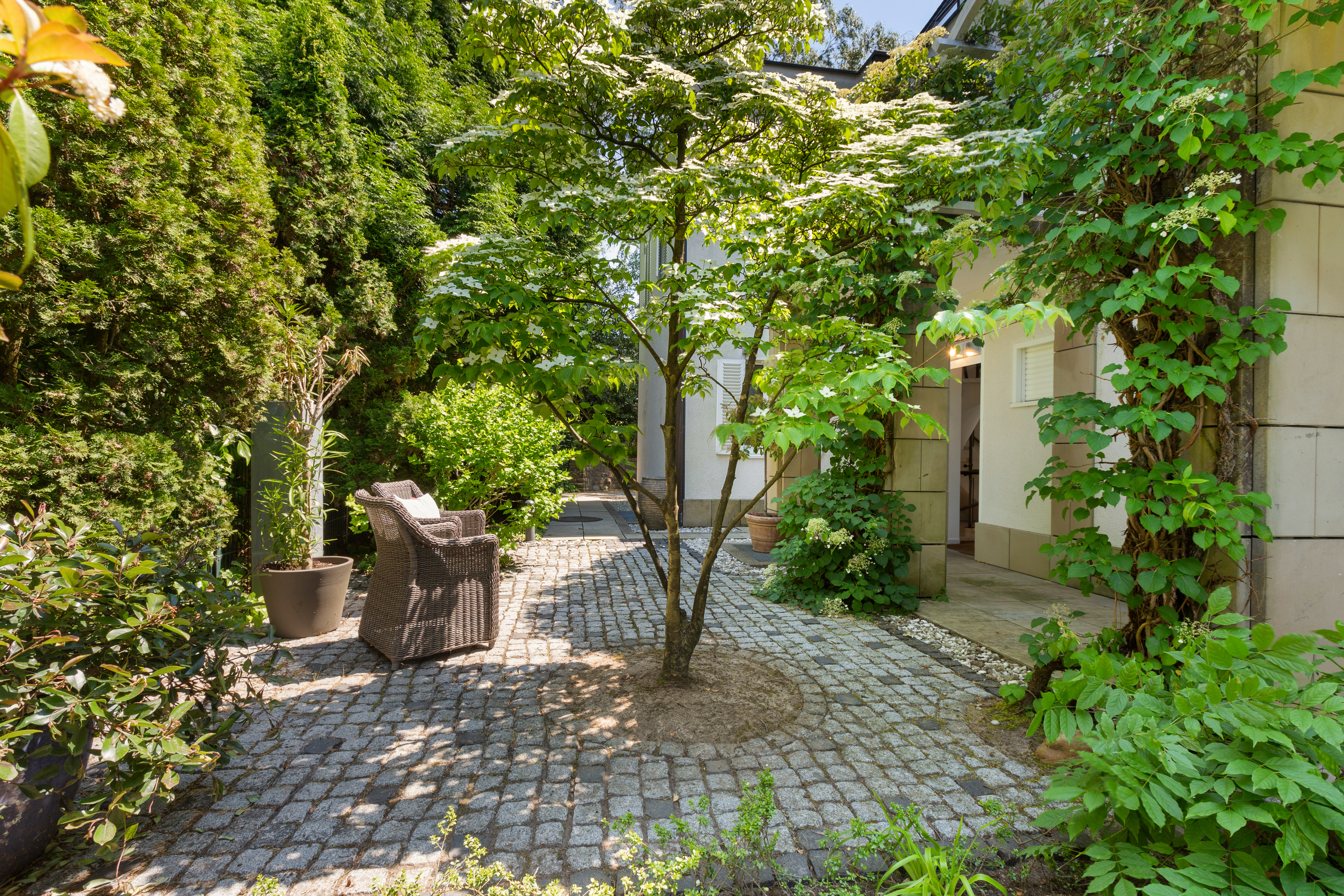 Gepflasterte Terrasse mit Baum, Korbstuhl und vielen grünen Pflanzen neben einem Wohnhaus.