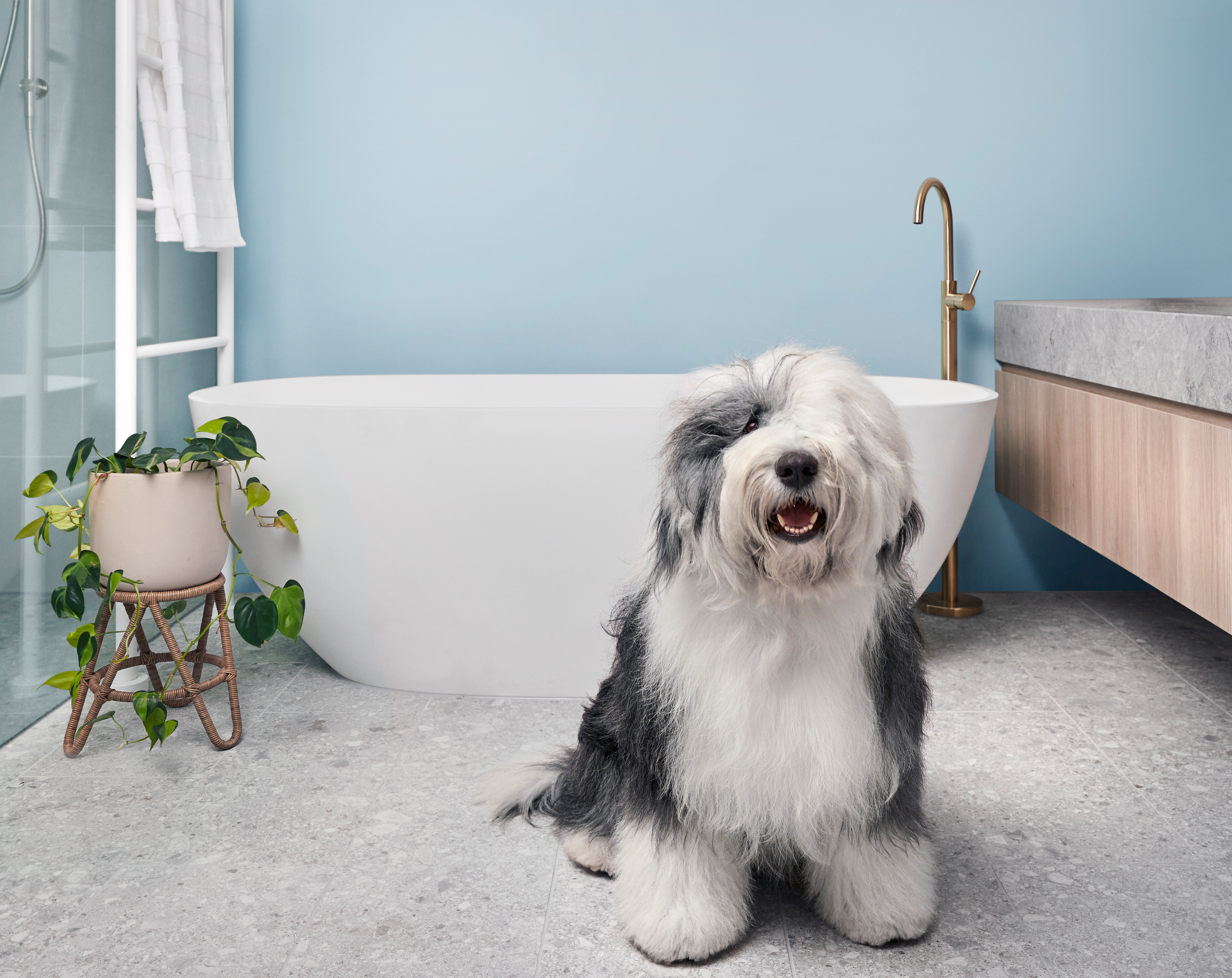 bathroom with dulux dog