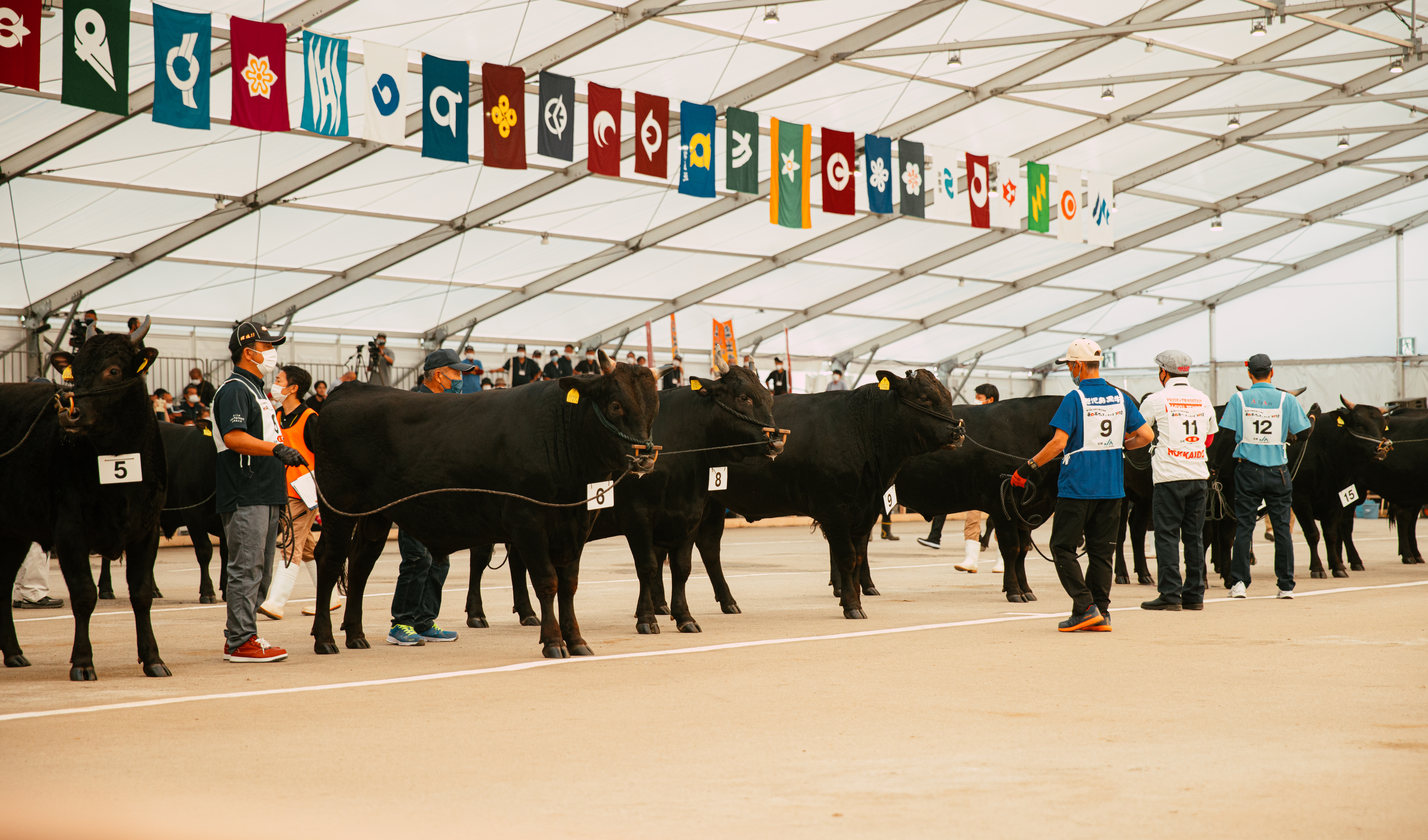 Kagoshima Farms